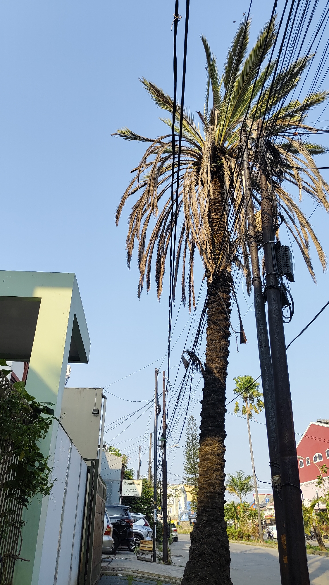 The image captures a street scene in Bekasi, Indonesia, under a clear blue sky. A prominent palm tree, laden with a dense network of electrical wires, dominates the foreground and midground. To the left, a modern, light green building with a cantilevered overhang is visible. Adjacent to it is a white fence and what appears to be an alleyway with parked cars, including a black SUV and a silver sedan. Further down the street, several other buildings are visible, including a red structure with white-framed windows. Another palm tree stands in the mid-distance behind the primary subject. Power poles, also supporting a tangle of wires, are situated next to the main palm tree. The scene suggests an urban or suburban environment with visible infrastructure for electricity and communication.