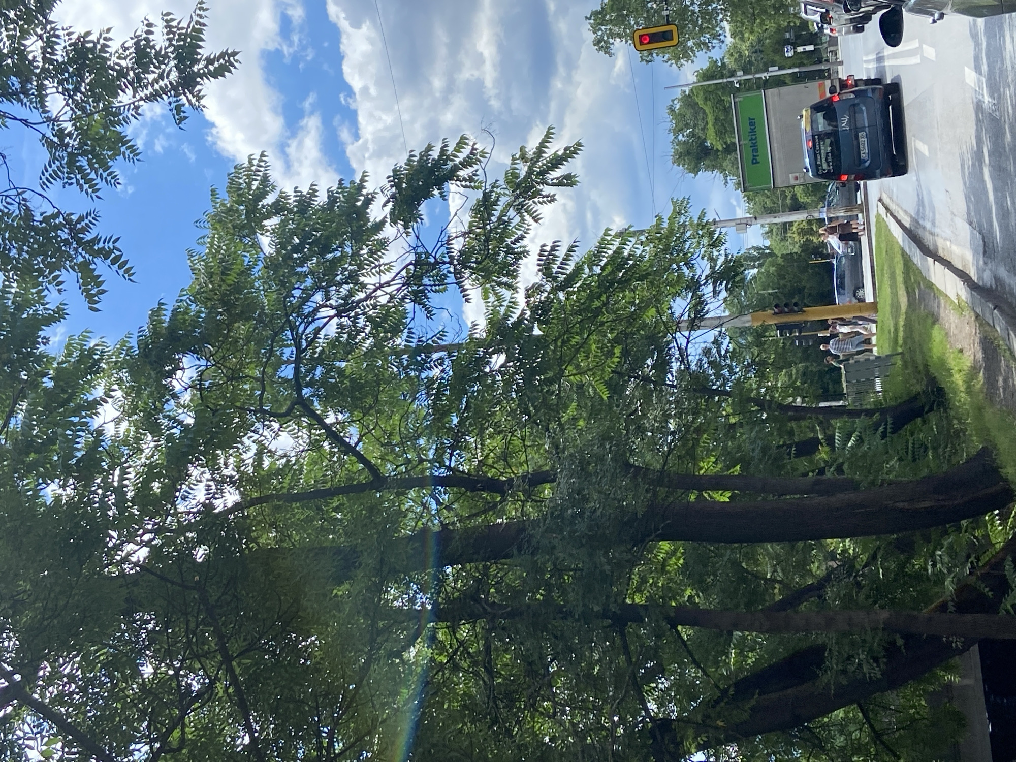 A photograph taken from a vehicle in Sofia, Bulgaria, captures a street scene on a cloudy day. The perspective is from inside a moving car, looking forward and slightly to the left. Dense green trees line the left side of the road, their branches reaching towards a bright blue sky dotted with white clouds. Sunlight filters through the leaves, creating dappled patterns and a subtle rainbow effect on the left side of the image.
The road itself is asphalt with white lane markings. A light blue van with a license plate reading "CA 5602 KN" is in the foreground, traveling in the same direction as the photographer. To its right, a large truck with a green "Praktiker" logo on its side is visible. Several other cars are also in traffic.
On the left side of the road, there is a sidewalk with a few pedestrians. One person is standing, looking towards the road. Further down the sidewalk, a group of people are gathered. A traffic light with red and yellow lights is visible on a pole. The environment appears to be a well-developed urban area with trees and infrastructure, suggesting a location in a city.
