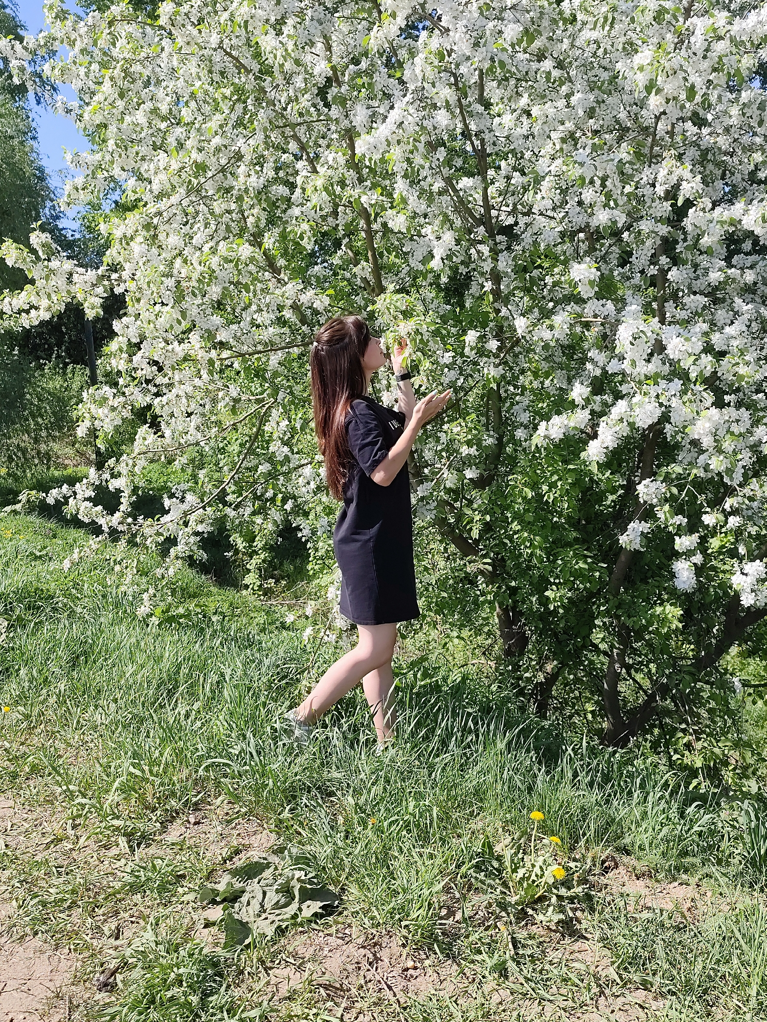 A woman stands in a grassy area near a flowering tree in Фоки, Russia. The tree is densely covered in white blossoms. The woman, with long brown hair, wears a short black dress and appears to be looking at and reaching toward the tree's flowers. The ground is covered in grass with some bare patches of dirt and occasional dandelions. Other trees and a blue sky are visible in the background.