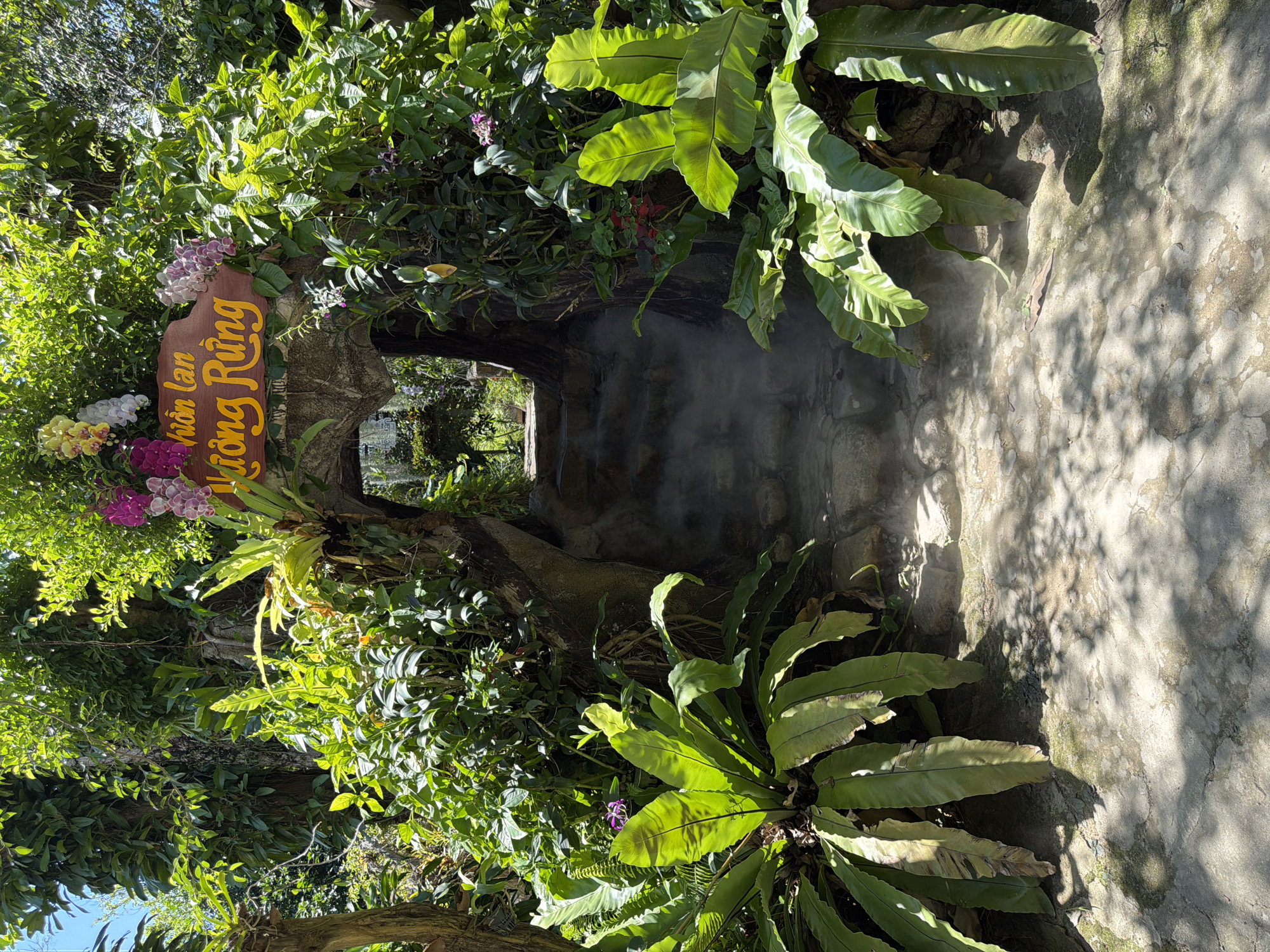 The image captures an entrance to a botanical garden in Hoa Thang, Vietnam, marked by a rustic, carved wooden sign with yellow lettering that reads "Vườn Lan Hương Rừng" which translates to "Wild Orchid Garden." The entrance itself is an archway formed by natural rock and tree roots, draped with lush green foliage and vibrant orchids in shades of pink, purple, and white. A gentle mist or fog hovers around the stone steps leading into the garden, creating an ethereal and inviting atmosphere. Large, vibrant green bird's nest ferns frame the entrance on both sides. The ground is a mixture of stone paving and dirt, with dappled sunlight filtering through the dense canopy of trees overhead. The scene is rich in natural beauty and suggests a tranquil, picturesque garden setting.