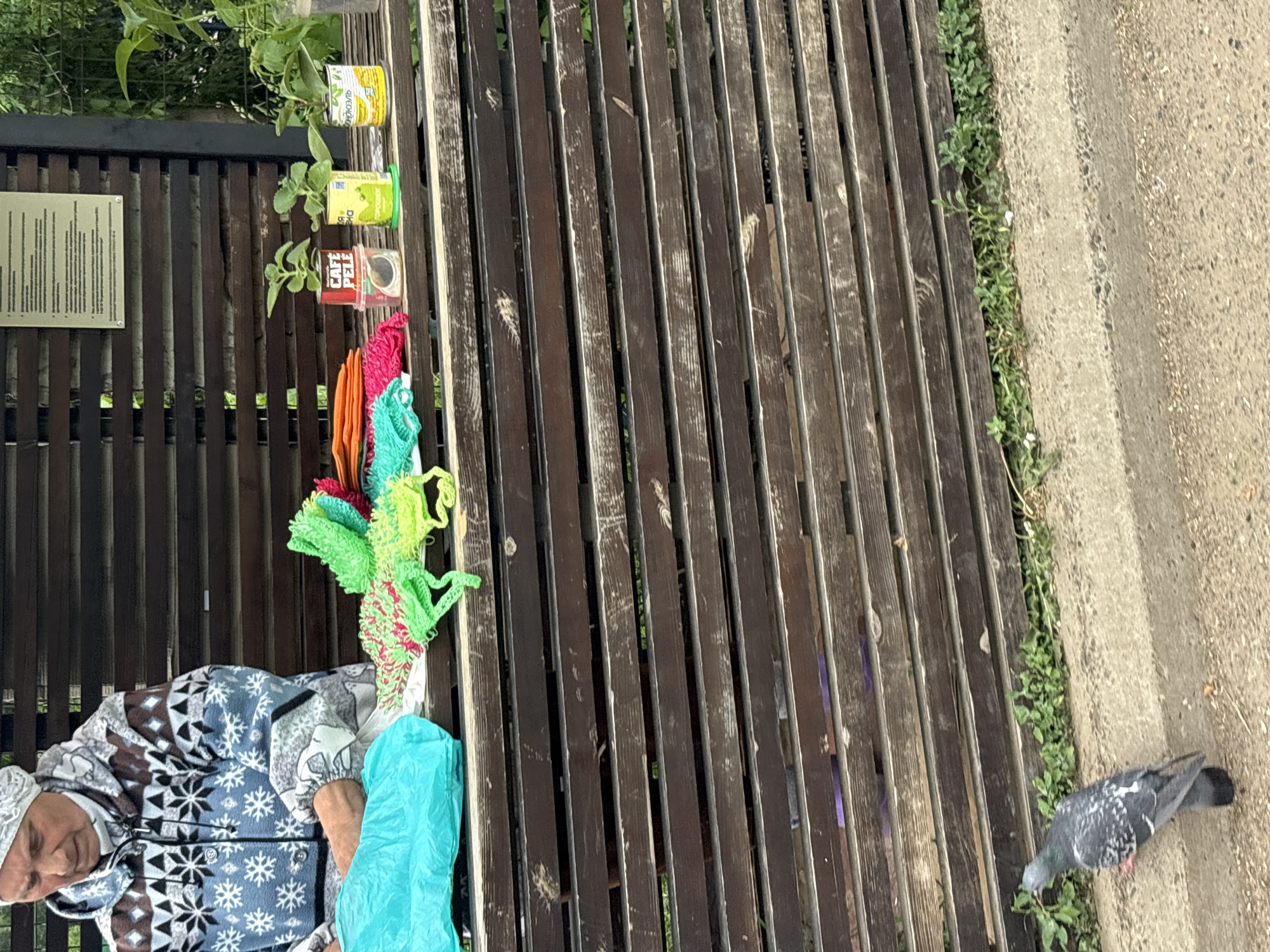 The image shows a scene from Chaikovsky, Russia, featuring an elderly woman sitting on a park bench. The bench is made of dark brown wooden slats and is partially occupied by various items, including colorful knitted goods (hats or scarves), a blue plastic bag, and repurposed metal cans containing small plants. The woman is wearing a patterned jacket and a white head covering. A pigeon is foraging for food at the edge of the bench, near a strip of greenery between the bench and a concrete path. The background includes additional greenery and a sign attached to the bench structure.