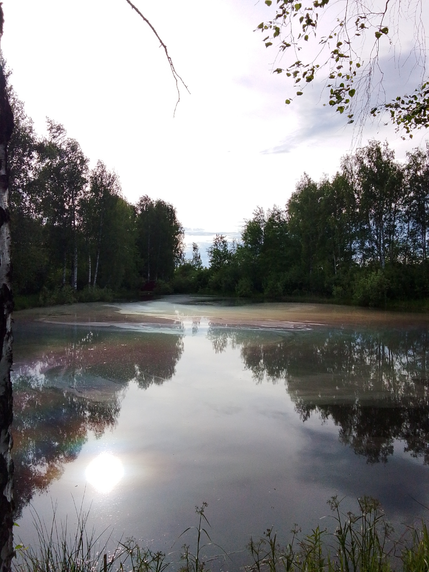 The image depicts a body of water in Снопок Новый, Russia, surrounded by trees. The water reflects the surrounding foliage and sky. Sunlight glares off the water's surface. Vegetation grows along the water's edge. The sky is overcast.