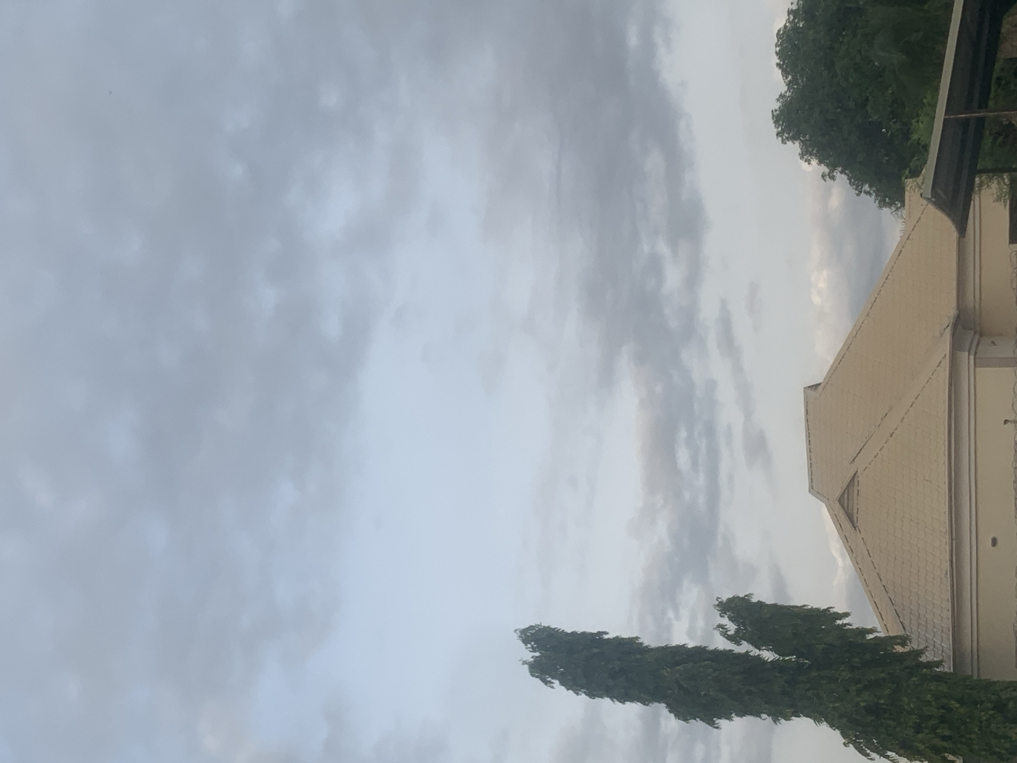 The image shows a view of the sky and the rooftops of buildings in Jalingo, Nigeria. The sky is filled with overcast, gray clouds. In the foreground, a tall, slender green tree stands to the left of the frame. To the right of the tree, a light-colored, multi-peaked roof of a building is visible, with a portion of another roof structure extending from the bottom right. Lush green foliage from other trees is seen in the background, on the right side of the image.