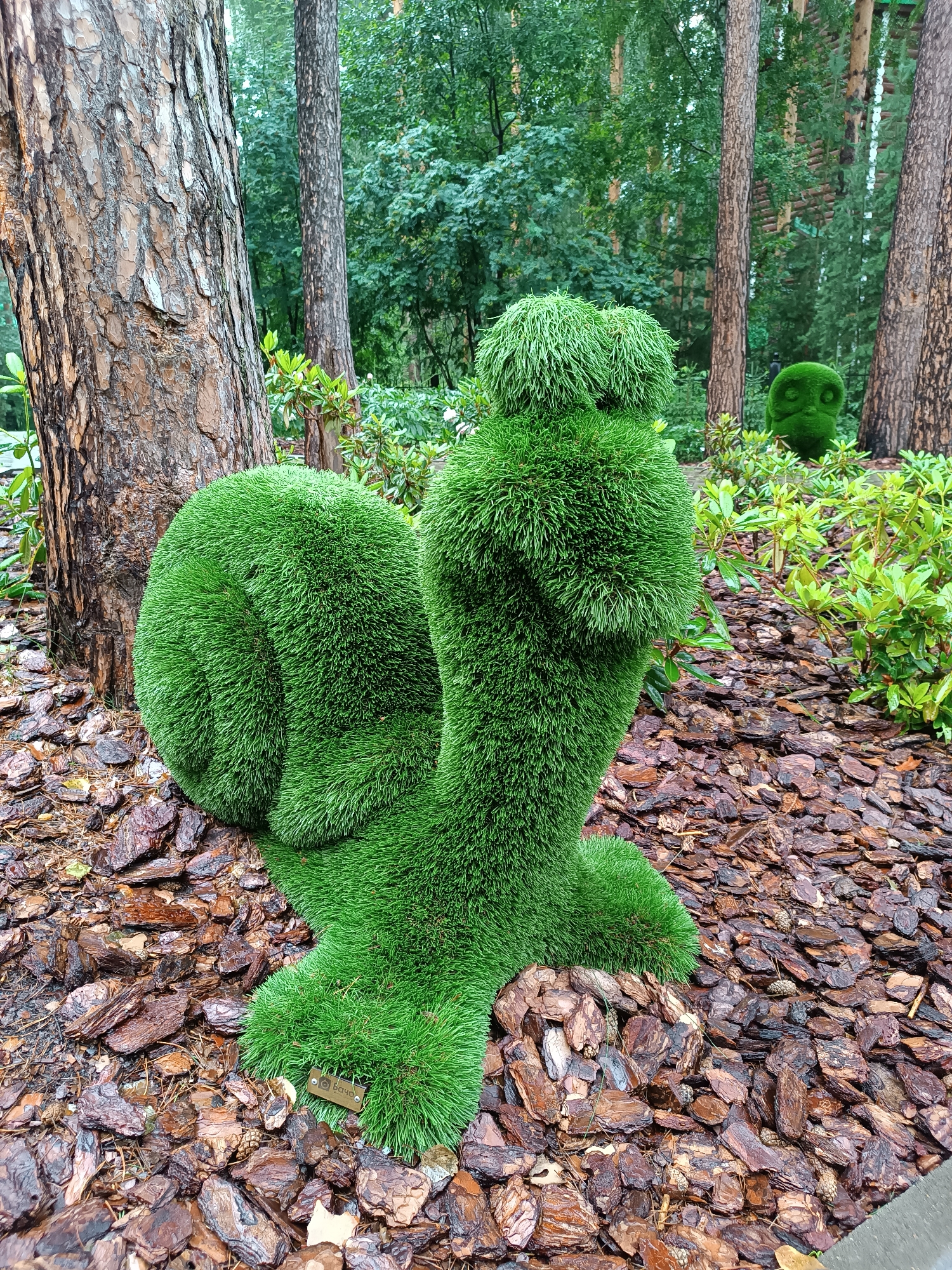 The image depicts a topiary snail sculpture crafted from bright green foliage, positioned in a park-like setting. The sculpture is situated on a bed of dark brown wood chips, with several pine trees and lush green undergrowth forming the background. In the middle ground, another green topiary sculpture, this one resembling a round face or owl, is visible. The overall scene is outdoors, likely in a botanical garden or a landscaped public space. This specific topiary snail is located in the Yekaterinburg City Central Park of Culture and Recreation, a well-known landmark in Yekaterinburg, Russia.