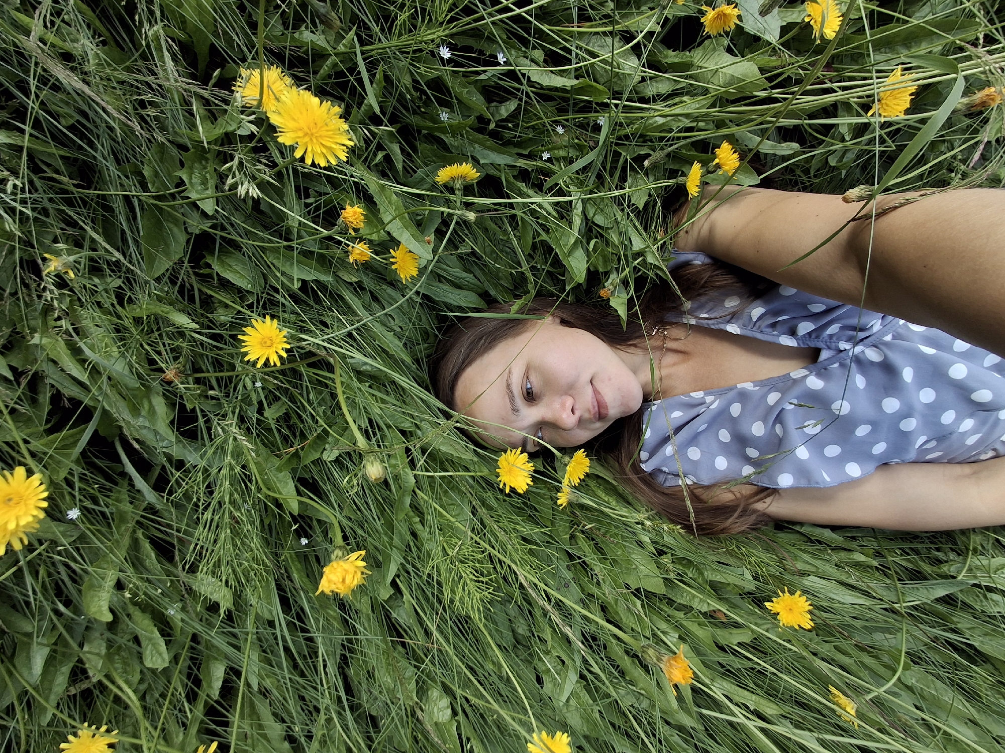 In this overhead shot, a young woman lies peacefully amidst a field of lush green grass and vibrant yellow dandelions. Her head rests on the soft ground, eyes gazing upwards with a gentle smile, suggesting a moment of quiet contentment. She wears a light blue dress adorned with white polka dots. Her arm is visible, propped up as if to support herself or simply resting comfortably. The natural setting, illuminated by what appears to be daylight, creates a serene and idyllic atmosphere. The presence of numerous dandelions, some in full bloom and others in bud, points to a spring or summer day in a natural, grassy area, likely in Chaikovsky, Russia. The overall mood is one of tranquility and a connection with nature.