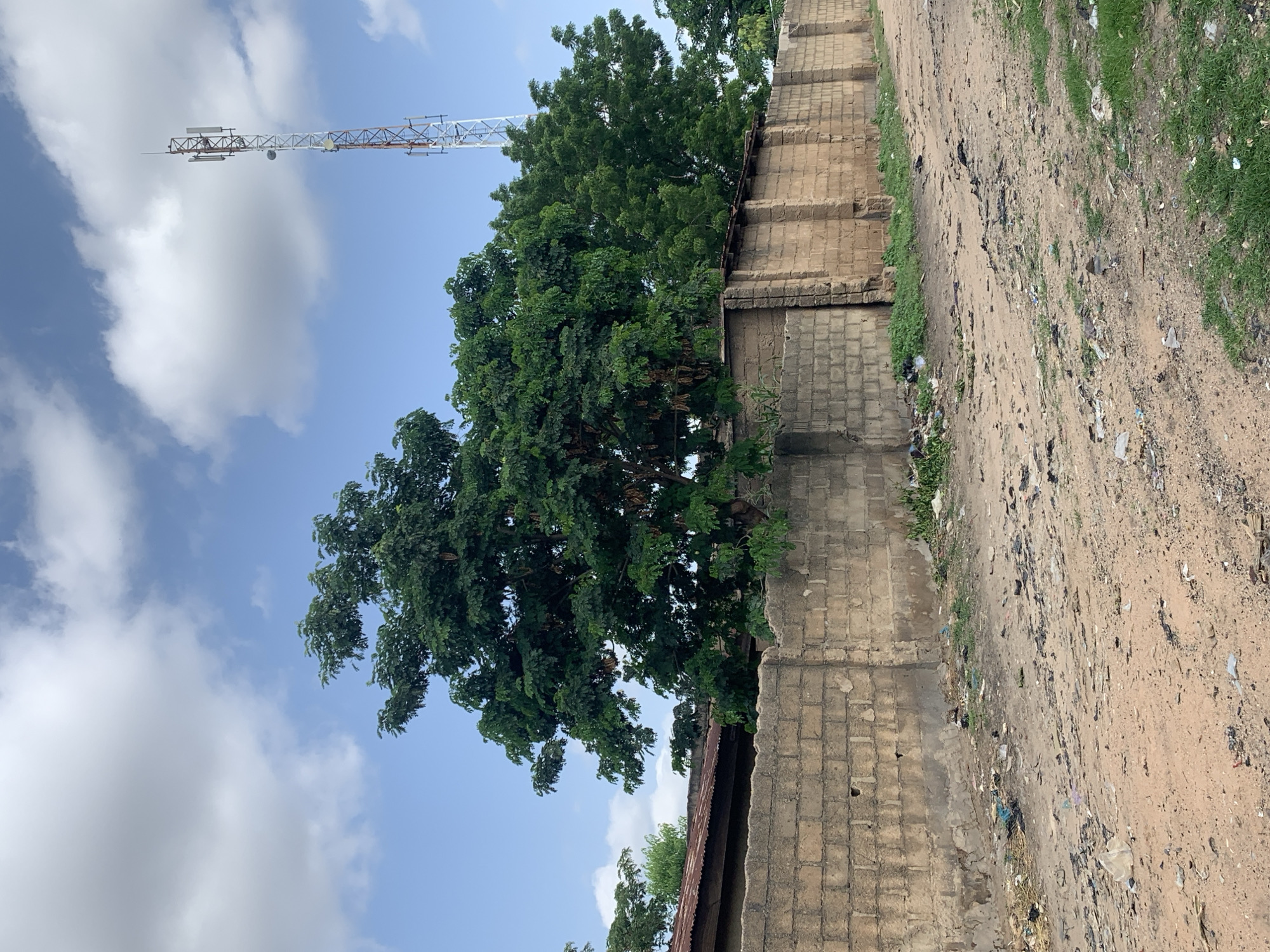 The image depicts an outdoor scene in a dusty, urban environment, possibly in a city like Unknown, Unknown. In the foreground, a dirt road is scattered with debris, including plastic bags, paper, and other refuse. To the left and extending into the background is a low, rough-hewn brick wall, aged and weathered. Behind the wall, a dense cluster of lush green trees dominates the midground, their leaves full and vibrant. The right side of the image features a tall, multi-level telecommunications tower, painted in sections of red and white, with various antennas and equipment mounted on its structure. The sky above is a bright blue, interspersed with scattered white clouds. A corrugated metal roof of a building is partially visible behind the trees on the far left. The overall impression is one of a semi-developed area, with natural elements like trees contrasting with man-made structures and evidence of litter.