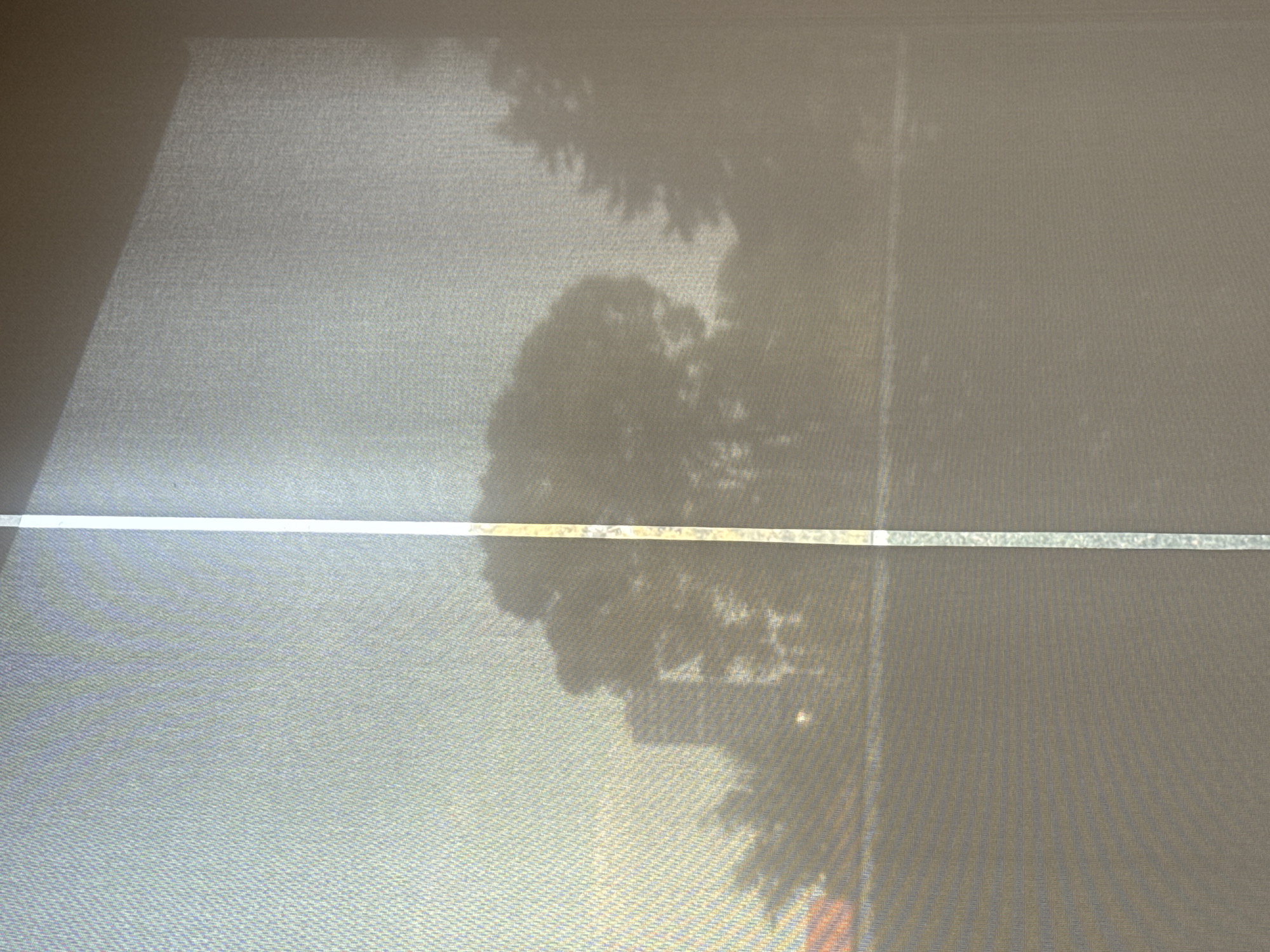 The image captures a view seen through a textured, sheer window covering, likely a curtain or screen, characterized by a fine, repeating pattern across its surface. A prominent, bright white or silver horizontal band runs across the middle of the frame, dividing the view and appearing to be a structural component of the window covering, such as a slat or support bar.
Outside the window, diffuse light and the soft shadows of tree foliage are discernible through the sheer material. These dark, organic shapes are most apparent in the upper and lower sections, indicating the presence of large trees. The overall brightness and the defined shadows suggest it is daytime, with sunlight likely illuminating the scene from outside. A faint reddish-orange hue is vaguely visible towards the bottom right, possibly a distant object or a reflection.
No people are present, and no specific activity is taking place; the image is a static capture of an outdoor view from an interior perspective. The scene lacks specific geographical cues, but within the context of Puebla, Mexico, it could depict a typical natural or residential setting. No visible text is present in the image.