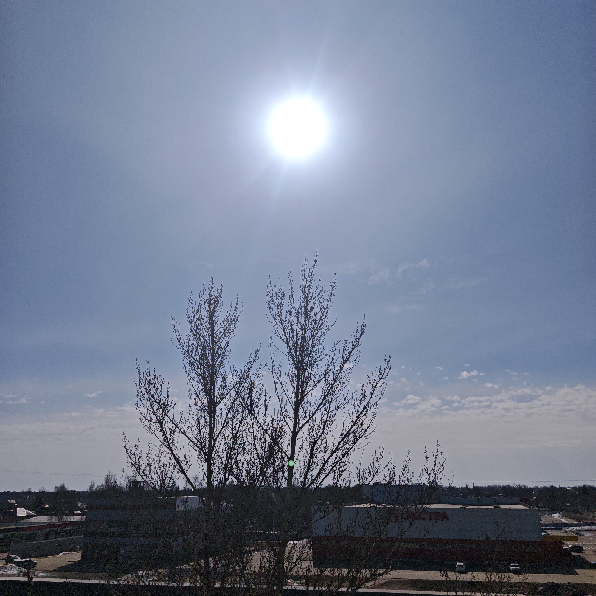 The image shows a cityscape under a bright sun in Rostov, Russia. In the foreground, there are two trees without leaves, obscuring a long, light-colored building with red accents. In the distance, smaller buildings and possibly residential areas are visible, all set against a pale blue sky with sparse clouds. The sun dominates the upper part of the image, suggesting a clear, sunny day. The presence of the building with likely Russian text visible suggests the city is in a Russian-speaking area.