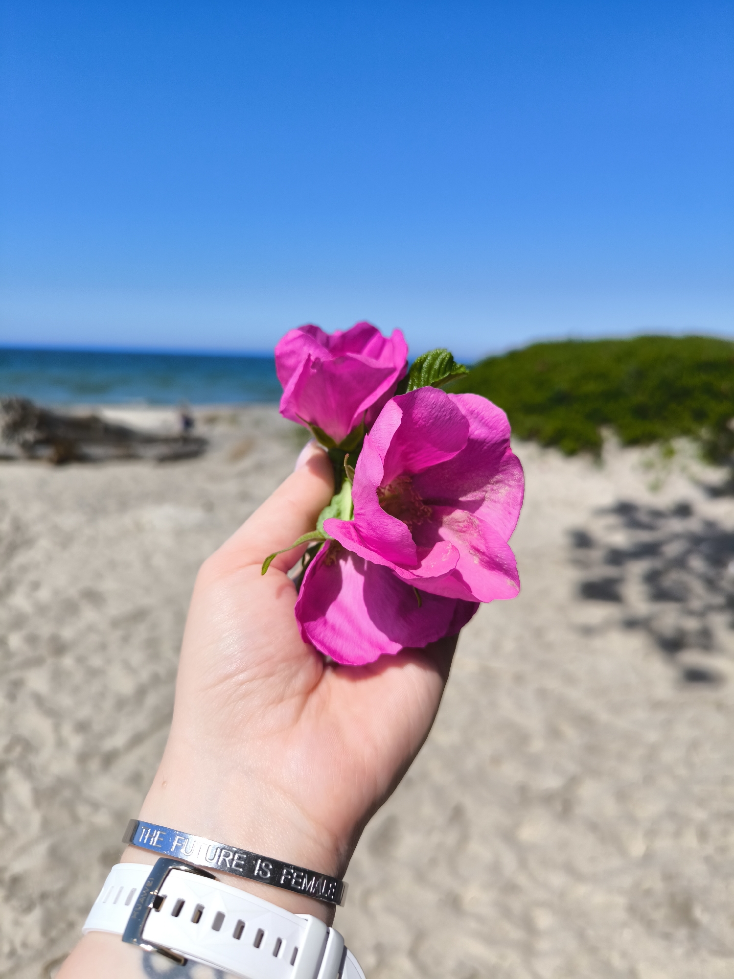 The image depicts a human hand holding three vibrant pink flowers with green foliage, positioned in the lower-center of the frame. On the wrist, a silver-colored metal cuff bracelet is visible, engraved with the text "THE FUTURE IS FEMALE." Below it, a white Huawei smartwatch with a silver buckle is also present. The background, rendered out of focus, shows a sandy beach with light beige sand. Further back, a blurred piece of driftwood rests on the sand, and a patch of dense green vegetation is visible. A horizon line separates a calm, blue-green ocean from a clear, bright blue sky, indicating sunny conditions. The scene is located in Priboy, Russia.