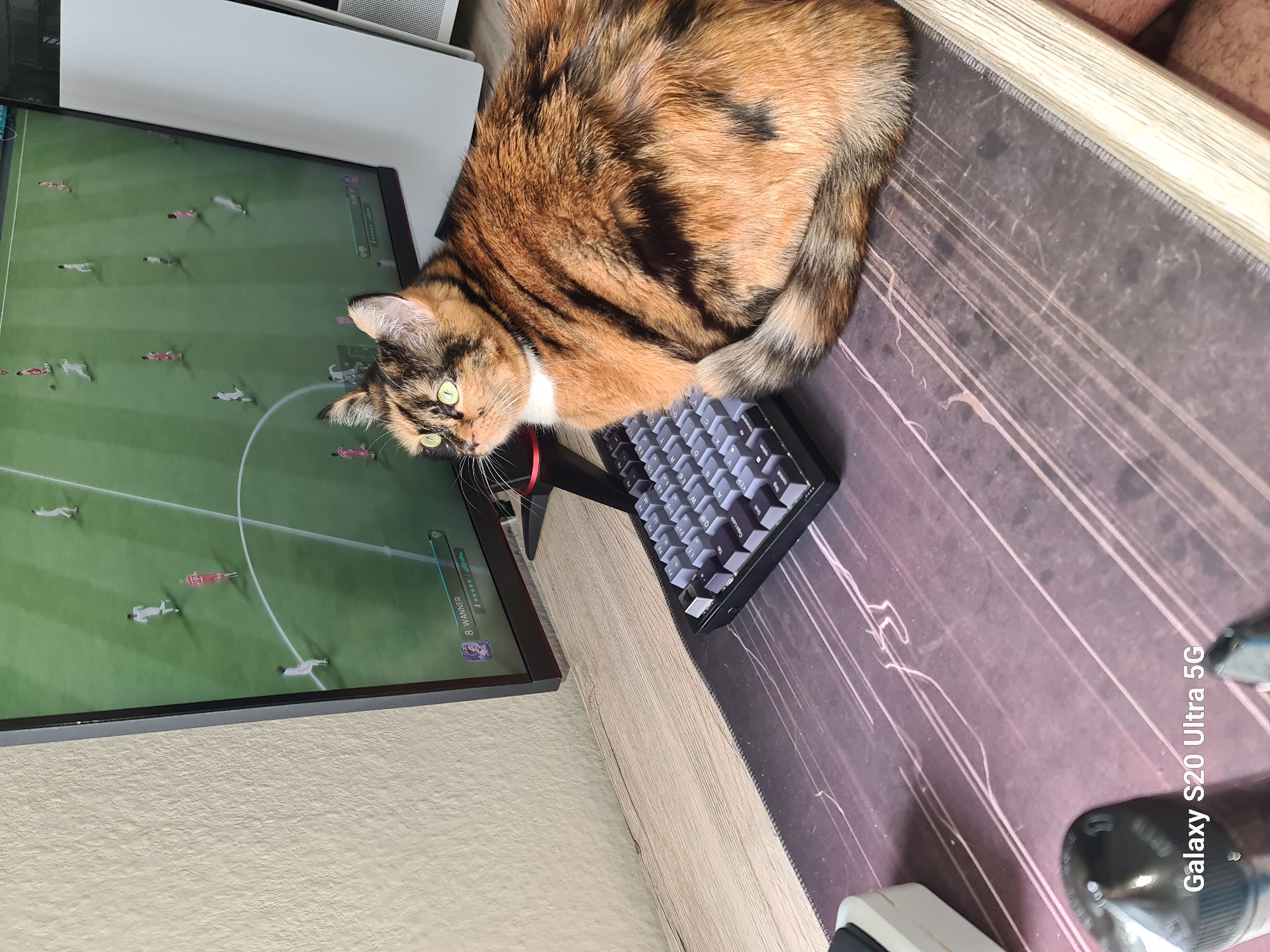 A calico cat is lying on a desk partially obscuring a black and gray mechanical keyboard. The cat's tail is curled around the keyboard. A computer monitor displays a soccer game with stylized green field and white player outlines. The screen is to the left of the cat and keyboard. The desk surface is a patterned mousepad. The location is identified as Budenheim, Germany by the camera's geotagging.