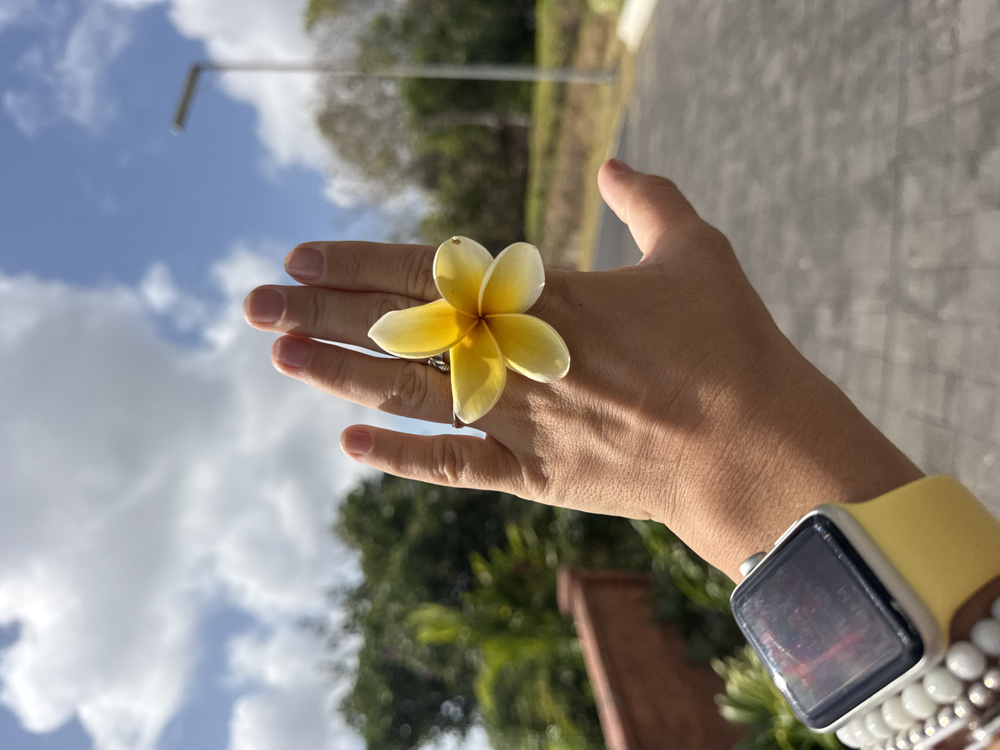 In Kuta Selatan, Indonesia, a hand is held up against a bright blue sky dotted with fluffy white clouds. A yellow and white plumeria flower is delicately placed on the hand, appearing almost like a ring. The hand, adorned with a silver ring and a yellow-strapped smartwatch with beaded bracelets, rests against the backdrop of lush green foliage and a brick wall. A paved pathway curves into the distance, suggesting an outdoor setting possibly near a resort or residential area, with a blurred street lamp visible in the background.