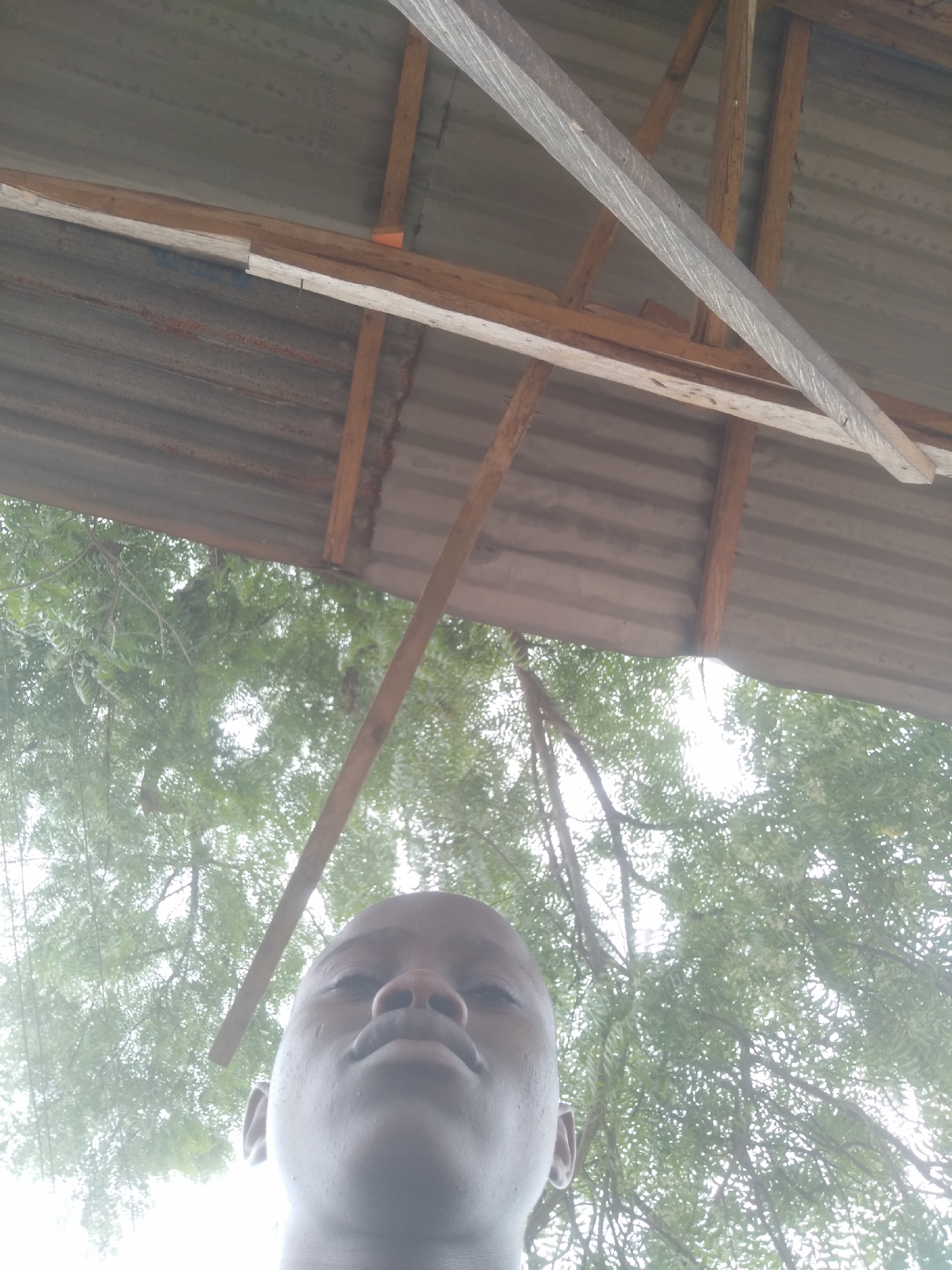 The image is a low-angle shot taken outdoors. The head and upper chest of a dark-skinned person are visible in the foreground. The person is looking upwards with their nose slightly in the air. Behind the person, a canopy of green tree foliage is visible against a bright sky. Overhead, a corrugated metal roof is supported by a wooden frame. The frame consists of wooden beams, some painted white, arranged in a crisscrossing pattern. The location appears to be somewhere in a city, but the exact city and region are not discernible from the image.