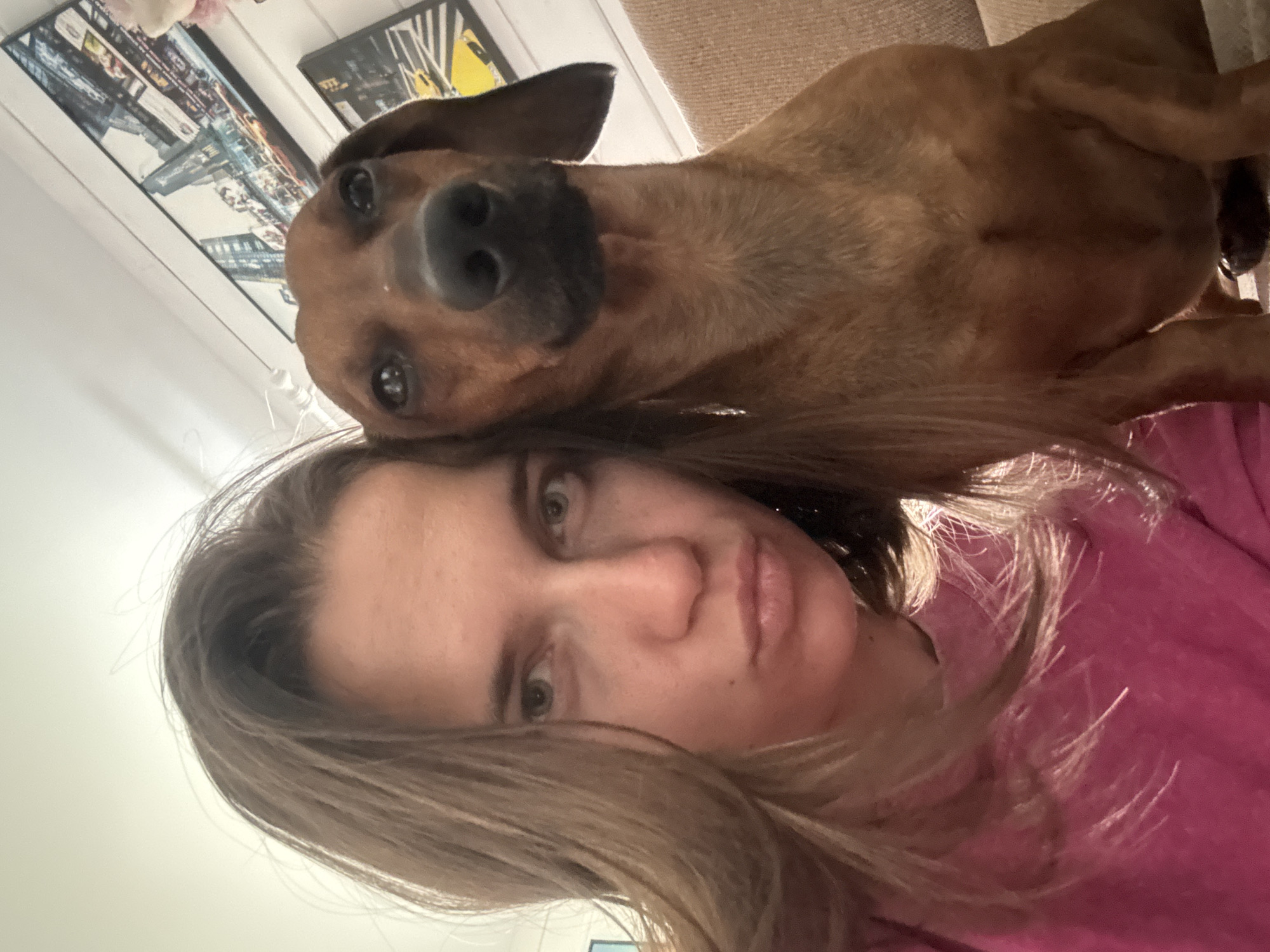 A woman with long, brown hair and wearing a pink shirt is taking a selfie. A brown dog is leaning on her head. In the background are framed pictures on a wall. The location cannot be determined from the image.