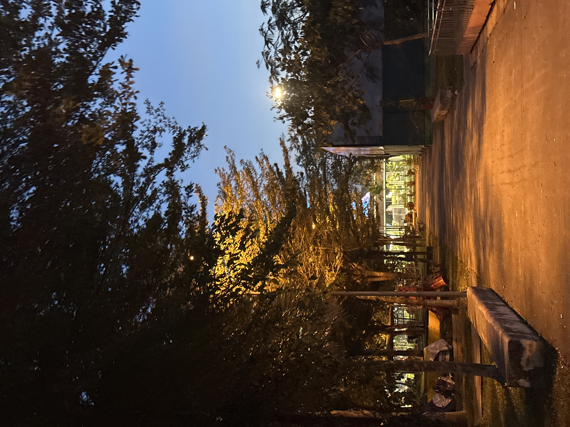 The image depicts a pathway in a park at dusk or early night. The pathway is illuminated by warm, artificial lighting, casting long shadows. Lush trees line both sides of the pathway, with some foliage catching the light and appearing golden. In the background, a building with illuminated windows is visible, along with streetlights and what appears to be a gazebo or covered structure with colorful lights. The sky is a deep blue, indicating the transition from day to night. The ground is paved, and there are concrete benches along the pathway. The scene suggests a public space designed for recreation or relaxation. The presence of the building and the overall urban park setting could suggest a location within a city. Based on the visual cues such as the architecture, vegetation, and lighting, this image is likely taken in Đà Nẵng, Vietnam.