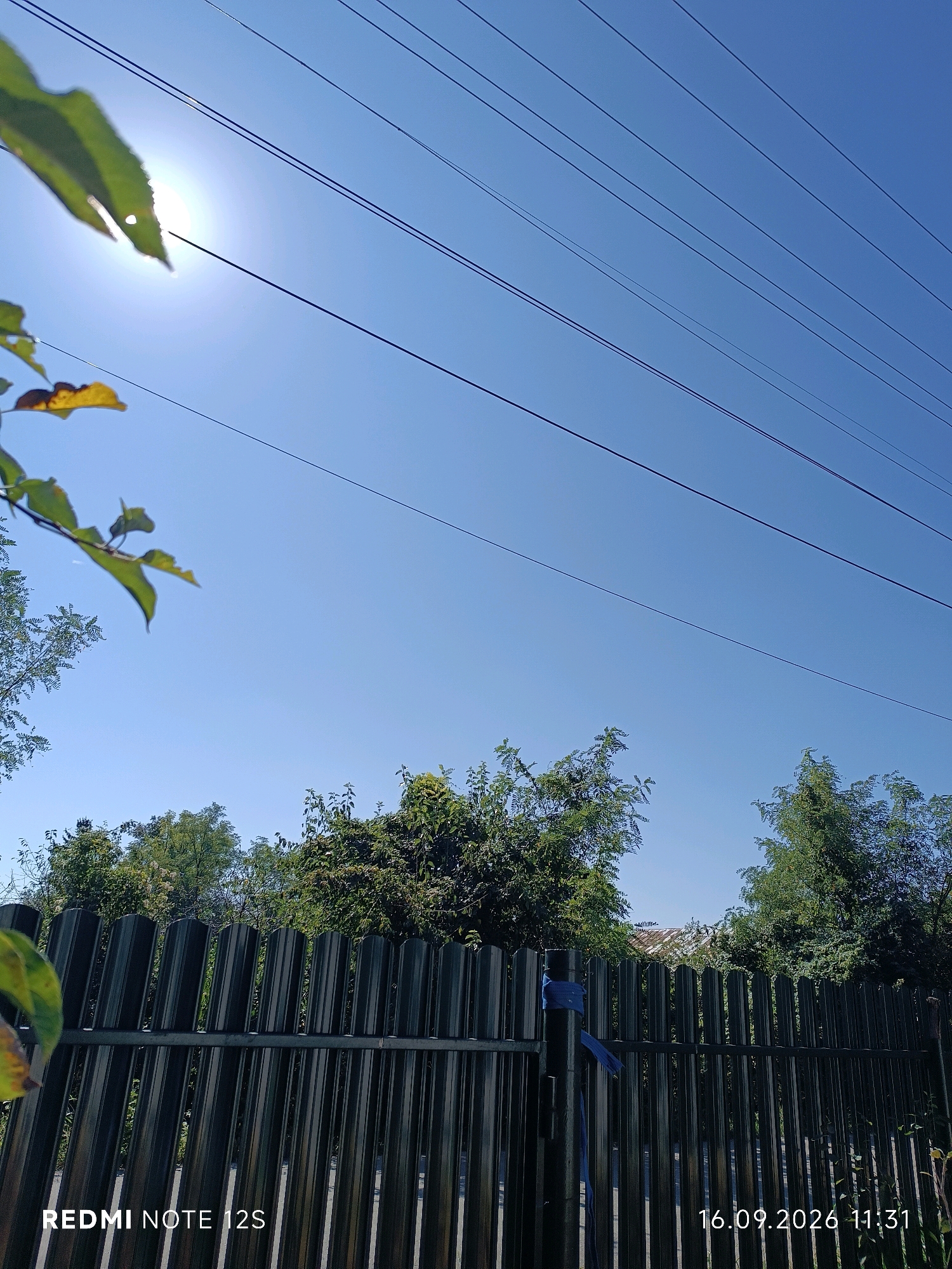 In Bilciurești, Romania, a metal fence forms the foreground of the image, with a blue ribbon tied around one of its posts. Beyond the fence, lush green trees and foliage are visible against a clear blue sky. Several power lines are strung across the sky. The sun is shining brightly, partially obscured by leaves in the upper left corner of the frame. The bottom of the image displays a watermark with the text "REDMI NOTE 12S" and the date "16.09.2026 11:31".