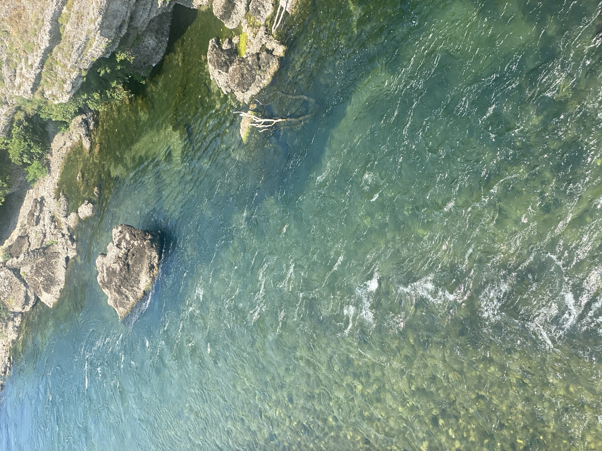 The image displays a clear, shallow river with a rocky riverbed. The water is a translucent turquoise and green, with visible pebbles and stones beneath the surface. In the center of the frame, a large, dark rock juts out of the water, creating ripples and white foam around its base. The river flows from the upper left to the lower right. Along the right bank, jagged, grey rocks form a cliff face, with sparse green vegetation clinging to the edges. A few dry branches are partially submerged near the bank. The lighting suggests a bright, sunny day. This scene depicts the Morača River in Podgorica, Montenegro, likely in an area with natural rock formations and flowing water characteristic of its course through the city and its surroundings. There are no people or animals visible in the image.