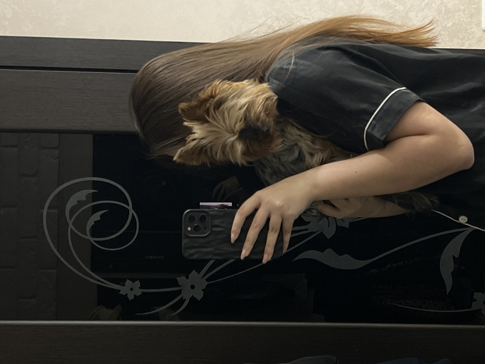 A person is depicted taking a mirror selfie indoors, holding a small dog. The image is captured through a reflection in a dark, glossy surface, likely a mirror or a wardrobe panel, adorned with elegant white and grey floral and swirl patterns.
The primary subject is a person, likely female, with long, straight, light brown hair flowing over her shoulders and partially obscuring her face. She is wearing a dark, short-sleeved top, possibly pajamas or loungewear, featuring a thin white piping along the sleeve cuff. Her right hand, with manicured nails, holds a dark-cased smartphone (resembling an iPhone with multiple cameras) to capture the reflection.
Cuddled close to the person's shoulder and partially hidden by her hair is a small, fluffy dog, appearing to be a Yorkshire Terrier or a similar breed, with a mix of light brown and tan fur. The dog's face is not clearly visible.
The reflective surface itself is framed by dark, solid furniture elements, suggesting a dresser or part of a wardrobe. A light-colored wall is visible in the background above the furniture. The overall scene conveys a casual and affectionate moment between the person and their pet. No specific time of day is discernible from the lighting, and no legible text is visible in the image. The setting is a private interior, located in Chaikovsky, Russia.