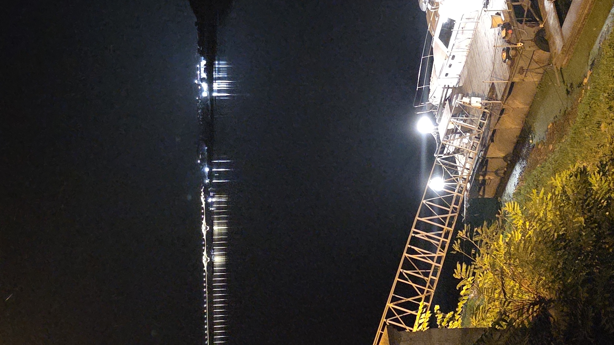 This image depicts a nighttime scene at a waterfront location in Vidin, Bulgaria. In the foreground, a metal gangway with a diamond pattern railing extends from a grassy embankment towards a floating dock. The dock is equipped with lights, and a white boat is moored alongside it. The water reflects the lights of distant buildings and a bridge, creating streaks of illumination on its dark surface. The embankment is covered in green grass and illuminated foliage. In the background, a cityscape with numerous lights is visible across the water, suggesting a populated area.