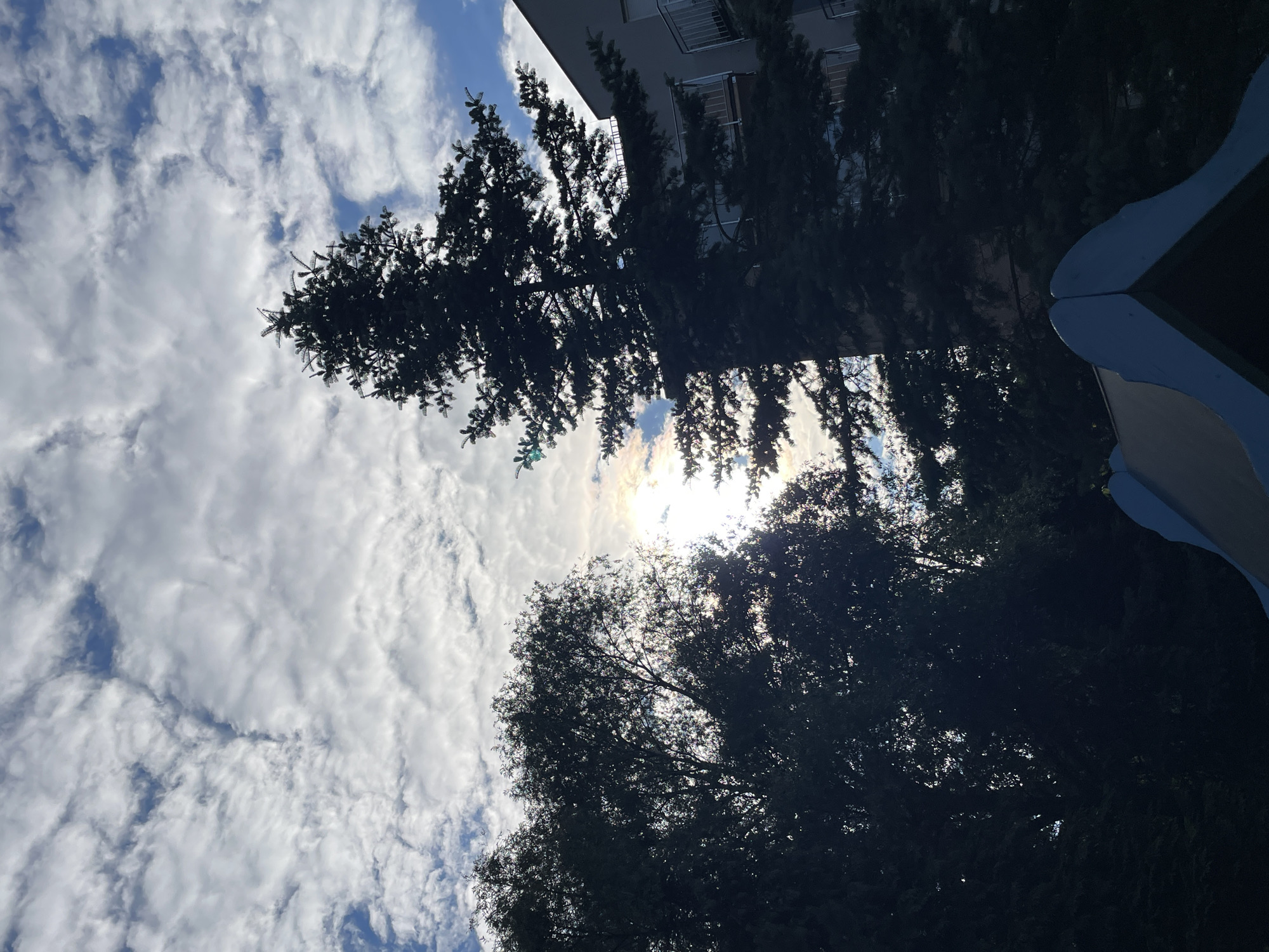 The image shows a low-angle shot of a cloudy sky with the sun partially obscured by trees. A tall evergreen tree is prominent in the foreground, silhouetted against the sky, with a building visible behind it. To the left, another tree with denser foliage is also silhouetted. In the bottom right corner, a portion of a blue playground structure is visible. The sky is filled with scattered white and grey clouds against a backdrop of blue sky.