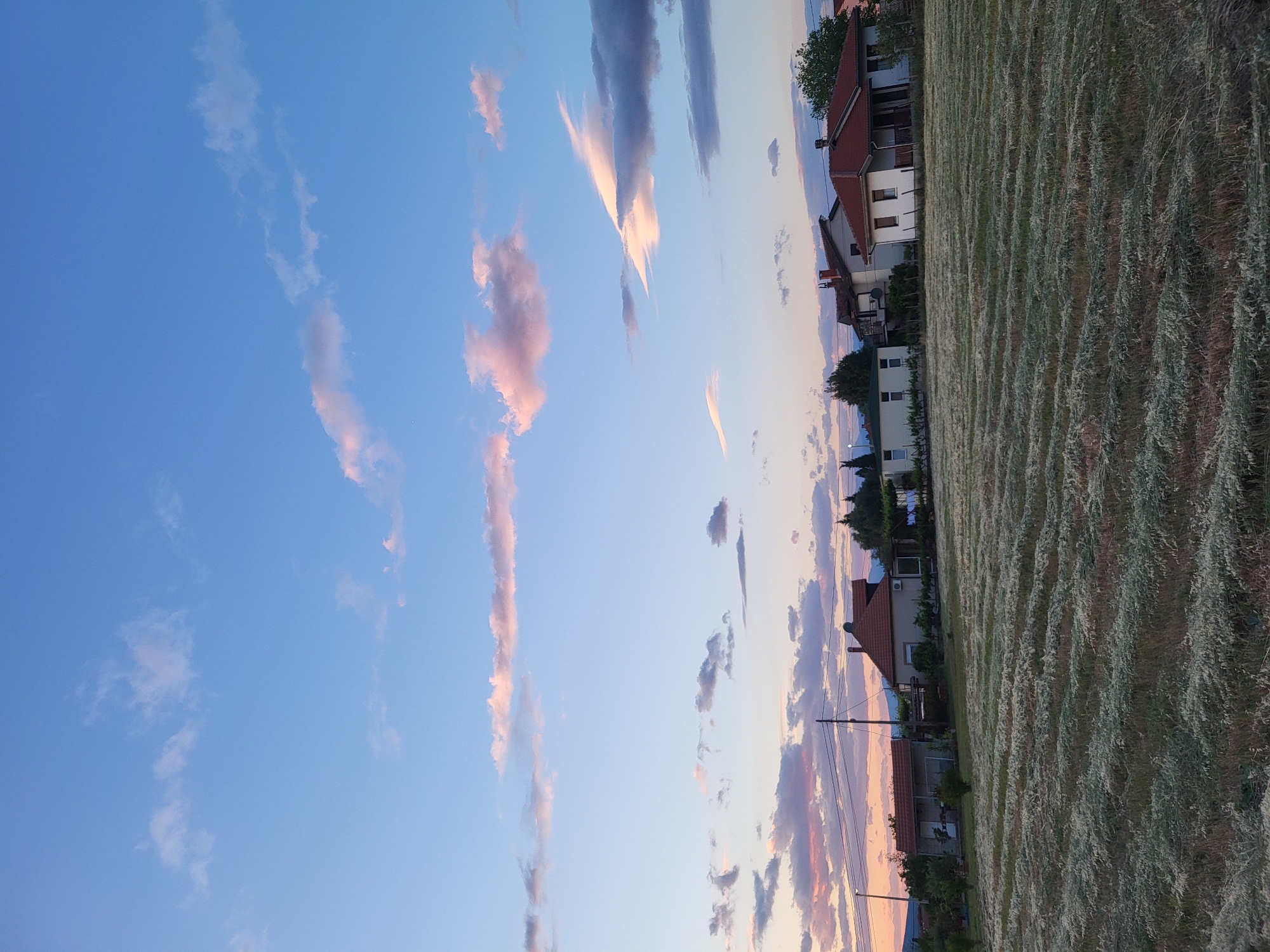 The image captures a serene rural or semi-rural landscape during sunset or late afternoon, centered around Mahala, Montenegro. The sky, occupying the upper two-thirds of the frame, transitions from a clear, deep blue overhead to lighter blues, soft pinks, and warm orange hues near the horizon on the right. Scattered clouds are present, many appearing elongated and streaky, illuminated from beneath by the setting sun, showcasing shades of pink, orange, and soft grey.

In the midground and foreground on the right, several residential houses are visible, characterized by their distinct red-tiled roofs and light-colored facades. One house in the foreground features a chimney and a small balcony, nestled among green trees and shrubs that flank the properties.

The foreground and bottom left of the image are dominated by a large field, which appears to be cultivated or recently mown. It exhibits distinct parallel rows, suggesting a harvested crop like hay, with a textured greenish-brown and straw-like appearance. A utility pole with wires is discernible on the right side, hinting at local infrastructure.

The overall scene conveys a peaceful and calm atmosphere, characteristic of the golden hour. There is no visible text in the image.