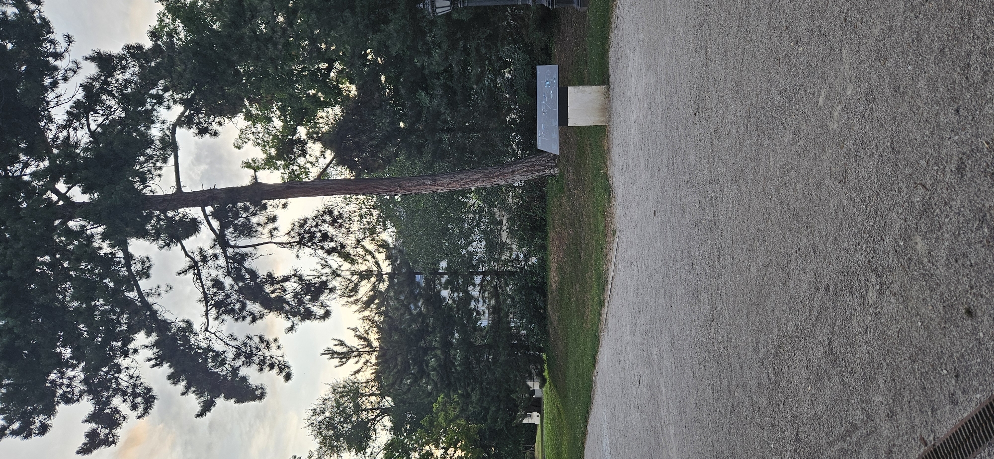 The image depicts a park-like setting in Keszthely, Hungary, likely during late afternoon or early evening given the soft lighting and overcast sky. A large, mature pine tree dominates the left and center of the frame, its dark green needles contrasting with the lighter sky. Behind the pine, a dense line of various trees forms a backdrop. In the middle ground, a building with a light-colored facade and numerous windows is partially visible through the foliage.
In the foreground, a gravel pathway curves towards the right. To the right of the pathway, a grassy embankment slopes upwards, leading to the treeline. Situated on the embankment is a stone pedestal topped with a dark information board featuring a diagram or map. To the far right of the frame, a black lamppost with a traditional design is visible. The overall scene is one of a tranquil, well-maintained public space, possibly part of a larger estate or botanical garden.