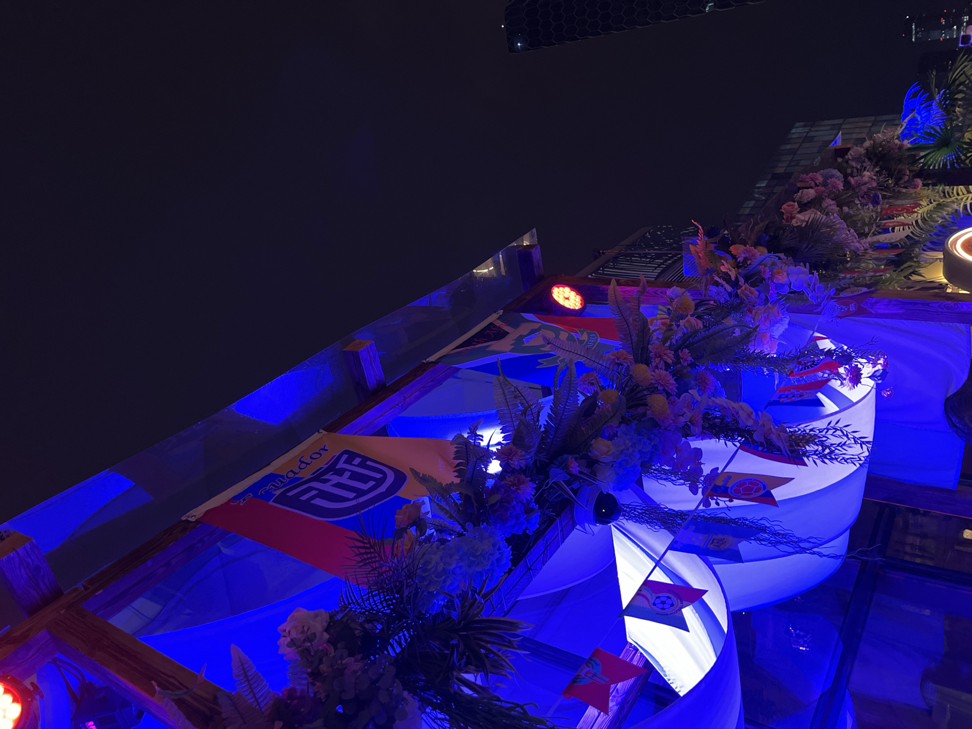 The image shows a night scene in Chaoyang District, China, with a building decorated with blue lights and flags. The flags appear to be national or team flags, with one prominent flag displaying "Ecuador" and a crest. There are also floral and foliage decorations hanging from the structure, illuminated by the blue lighting. In the background, a modern building with a distinctive hexagonal facade is visible against the dark sky, along with other city lights. The overall atmosphere suggests a festive or event-related setting. There are no visible people in the image.