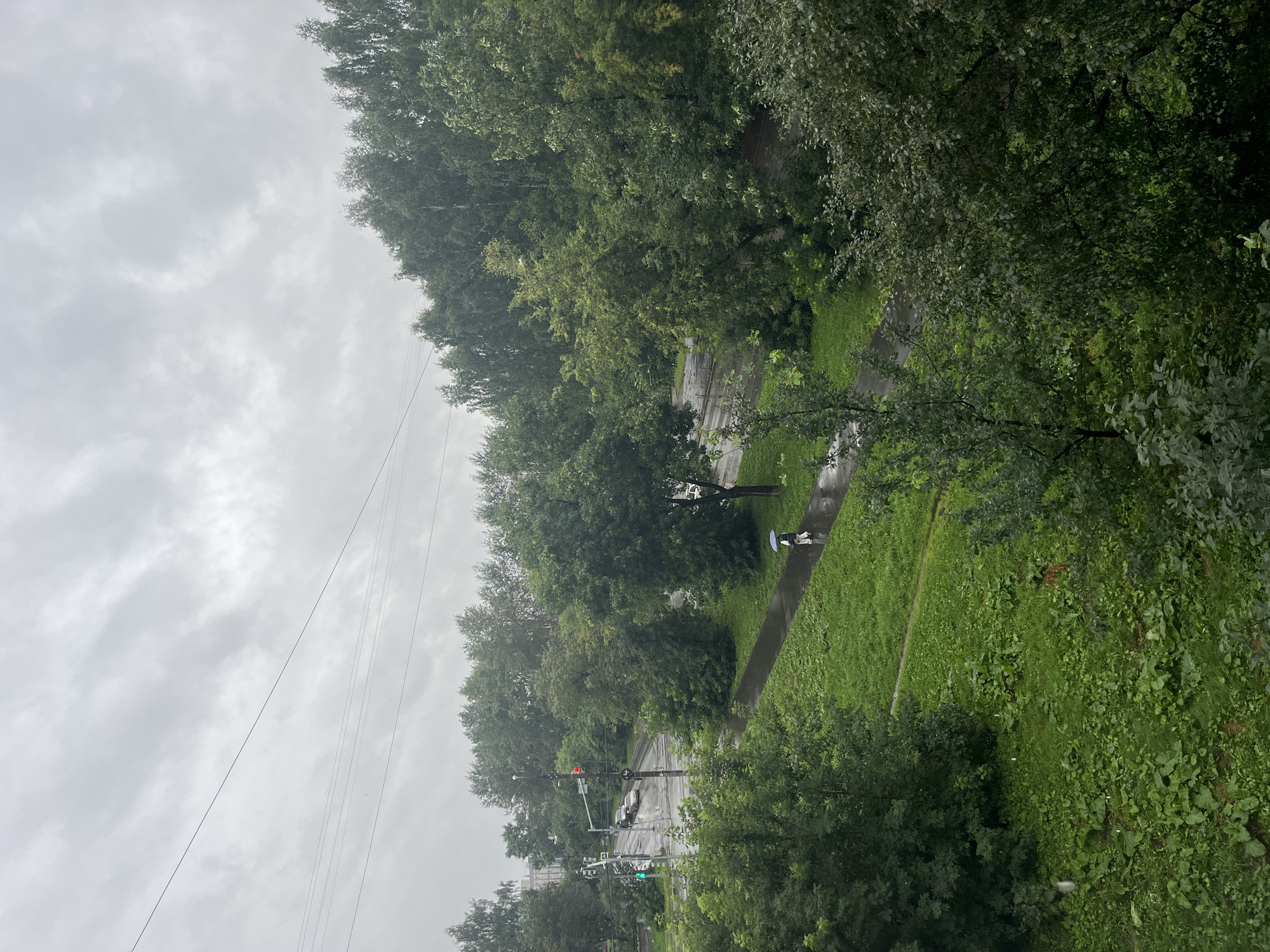 The image depicts a street scene in Yekaterinburg, Russia, under overcast, rainy conditions. The foreground is dominated by lush green grass and trees. A wet, paved pathway curves through the scene, and a lone individual is walking on it, holding a blue umbrella. Beyond the pathway, a road with vehicles is visible, with traffic lights indicating green for one direction and red for another. Trees line the street and extend into the background, creating a dense, verdant landscape. The sky is a uniform grey, typical of rainy weather. Power lines are visible crisscrossing the upper portion of the image. The overall impression is one of a quiet, damp day in a city park or residential area.