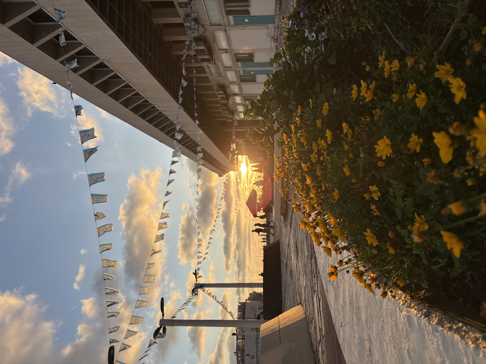 The image depicts a street scene in Tel Aviv, Israel, likely taken at sunset. Two buildings frame the sides of the shot. The building on the left is a taller structure with a concrete facade and a grid-like pattern. The building on the right is shorter, with windows and some panels of light blue. Strings of small flags with the Star of David hang across the street, parallel to the buildings, adding a festive feel. The setting sun is visible between the buildings, creating a golden glow. In the foreground on the right, there is a flower bed with yellow flowers. The sidewalk is visible, and in the middle distance, silhouetted figures of people can be seen. The sky is filled with clouds that are illuminated by the setting sun. Street lamps are visible along the street.