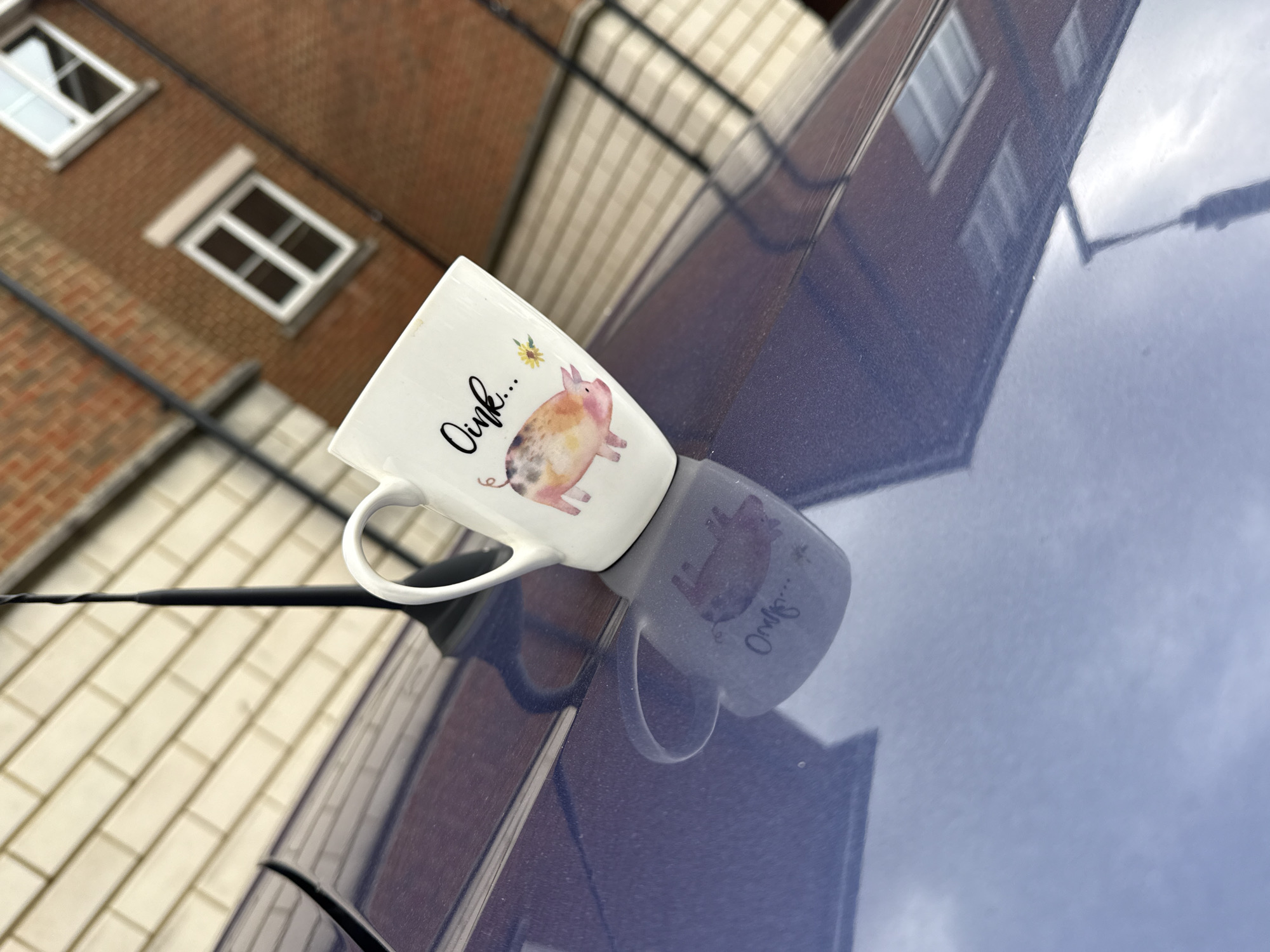 The image shows a white mug with a picture of a pig on it, sitting on the roof of a dark blue car. The word "Oink..." is printed above the pig illustration. The roof of the car is reflective, mirroring the mug's image. The background shows a brick building with white-framed windows, reflecting off of the car's surface. Additionally, a telephone pole can be seen through the reflection on the car's surface. The photograph appears to have been taken in the daytime. While the location is difficult to pinpoint precisely, the combination of brick buildings and street features is consistent with urban areas in Great Yarmouth, United Kingdom.