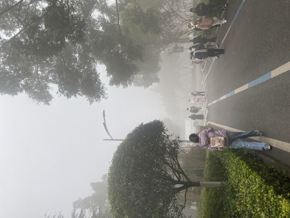 A line of people walks along a foggy road. A woman in a purple jacket and jeans lies prone beside a hedge and a thin tree. Above, trees obscure the sky in the thick fog. A light post stands nearby. A blue stripe delineates the edge of the road. More people are visible further down the road amidst the dense fog.