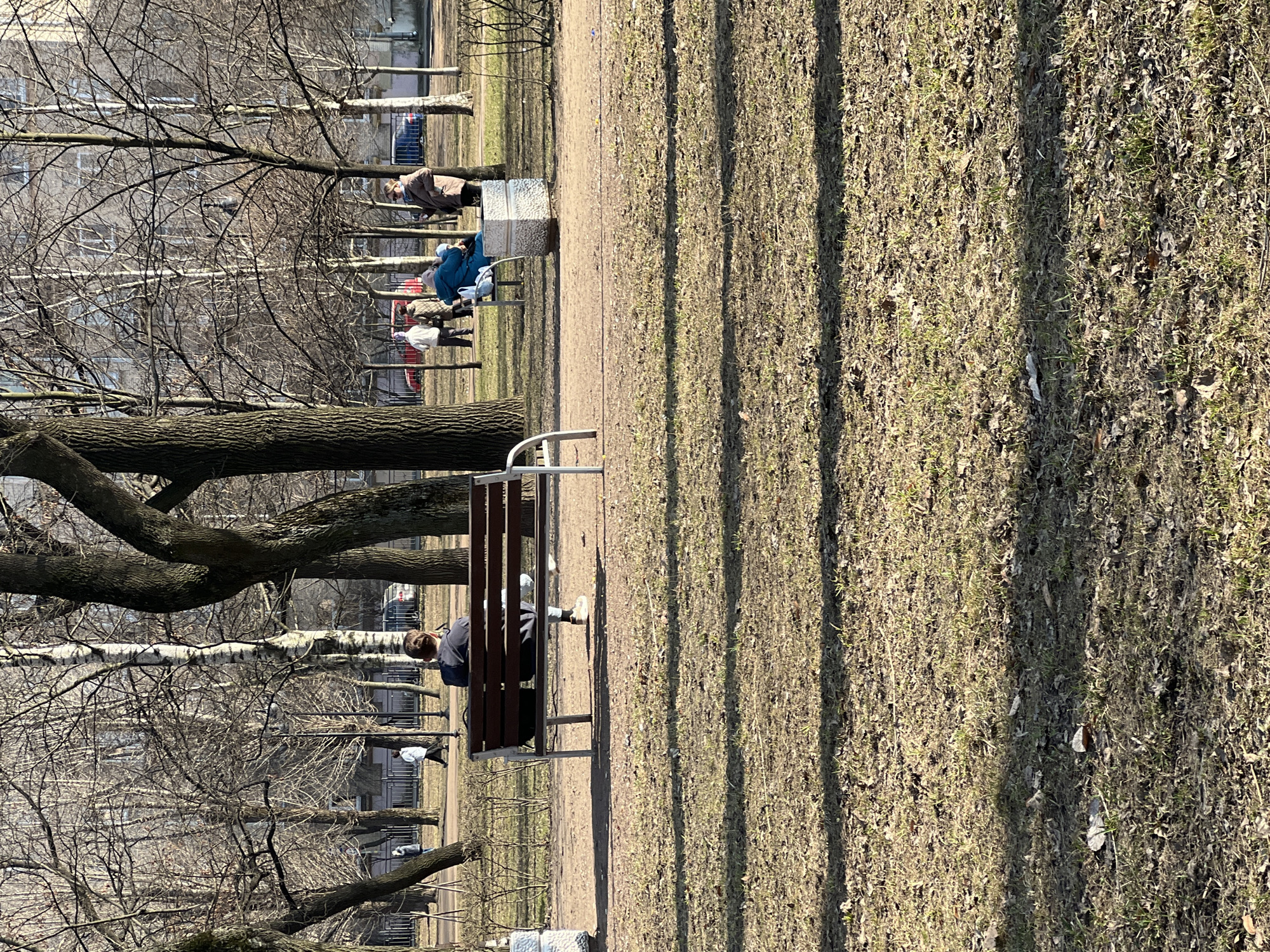 A horizontal medium shot captures a park scene. A dark-haired person wearing a black shirt sits on a brown park bench and is looking down. A sidewalk runs along the left side of the bench, and the ground to the right is mostly brown grass with scattered green sprouts and dried leaves. The shadows of the trees indicate that it is daytime. In the background, more people sit on benches, and trees run the length of the view. A beige building can be seen between the trees, indicating a city scene. The presence of birches suggests the city of Saint Petersburg, Russia.
