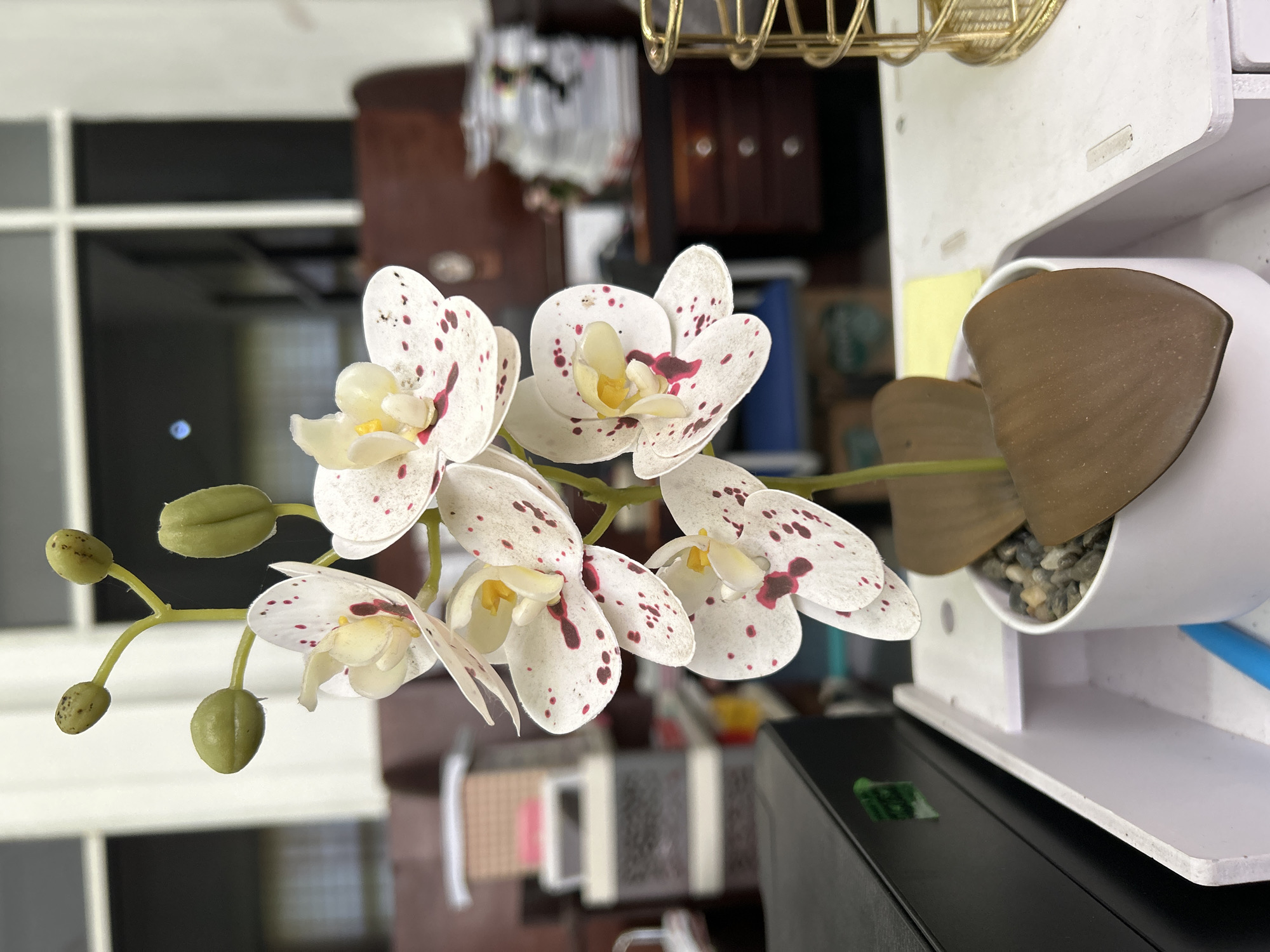 The image shows a close-up of an artificial orchid arrangement. The orchids are white with red-purple spots and yellow centers. Some green buds are also visible. The arrangement sits next to a white planter containing brown faux leaves and small gray stones. The planter is part of a white structure with a blue tube running along its side, possibly attached to a black surface. The background is blurred, showing hints of a room interior with wooden furniture and a window with a view of the outside.
There is no evidence in the image to suggest the location is Lhokseumawe, Indonesia. The scene depicts a generic indoor setting.