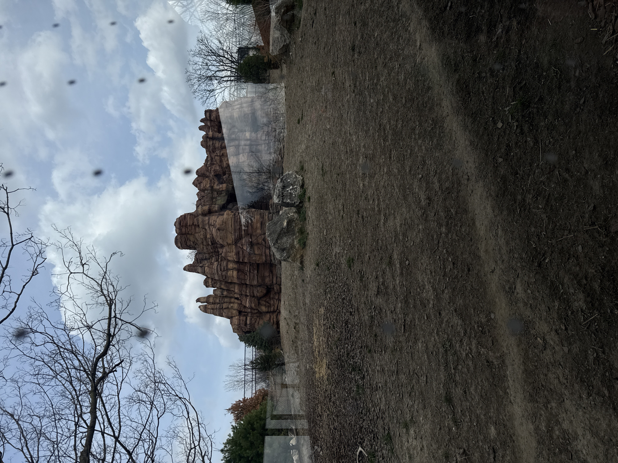 The image shows a scene at the Columbus Zoo and Aquarium in Powell, Ohio, United States of America. A man-made rock formation rises against a cloudy sky. Bare trees are visible in the foreground. Adjacent to the rock formation is a dirt area. The picture was taken through a window, which is shown by black spots.