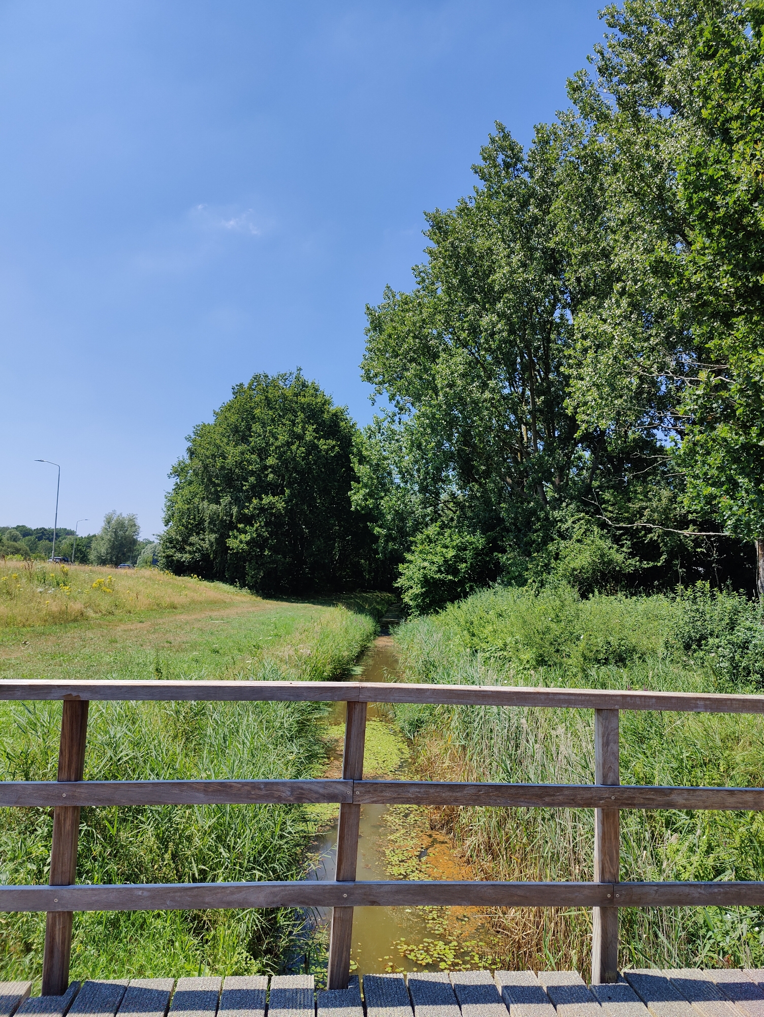 The image depicts a serene natural scene in Breda, Netherlands, featuring a wooden bridge in the foreground overlooking a narrow, tree-lined canal. The bridge's railing, made of light-colored wood, is a prominent element. Beyond the bridge, the canal flows gently, bordered by lush green reeds and vegetation. On the left side of the canal, a grassy field extends towards a line of trees and streetlights in the distance. The right side of the canal is densely forested with large, mature trees. The sky above is a clear, bright blue with a few wispy clouds. The overall impression is one of a peaceful, sunlit day in a natural setting within Breda.