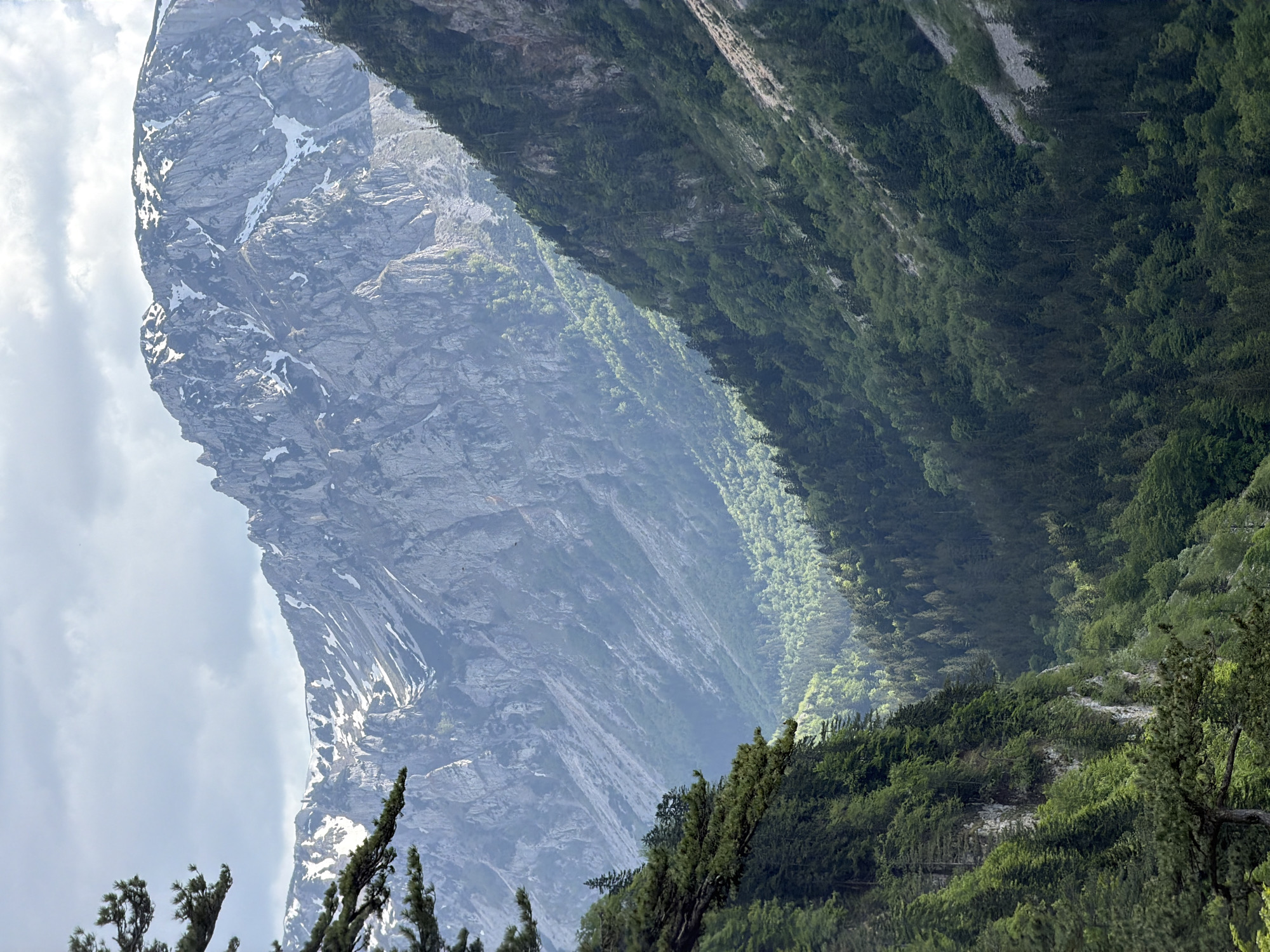 The image shows a view of the mountains in Ograde Kolibe, Montenegro. A steep, rocky mountain face with patches of snow rises on the left side of the frame, partially obscured by clouds. A lush green mountainside, densely covered with trees, slopes down on the right side. The foreground features shrubs and trees. The scene conveys a sense of altitude and rugged natural beauty.