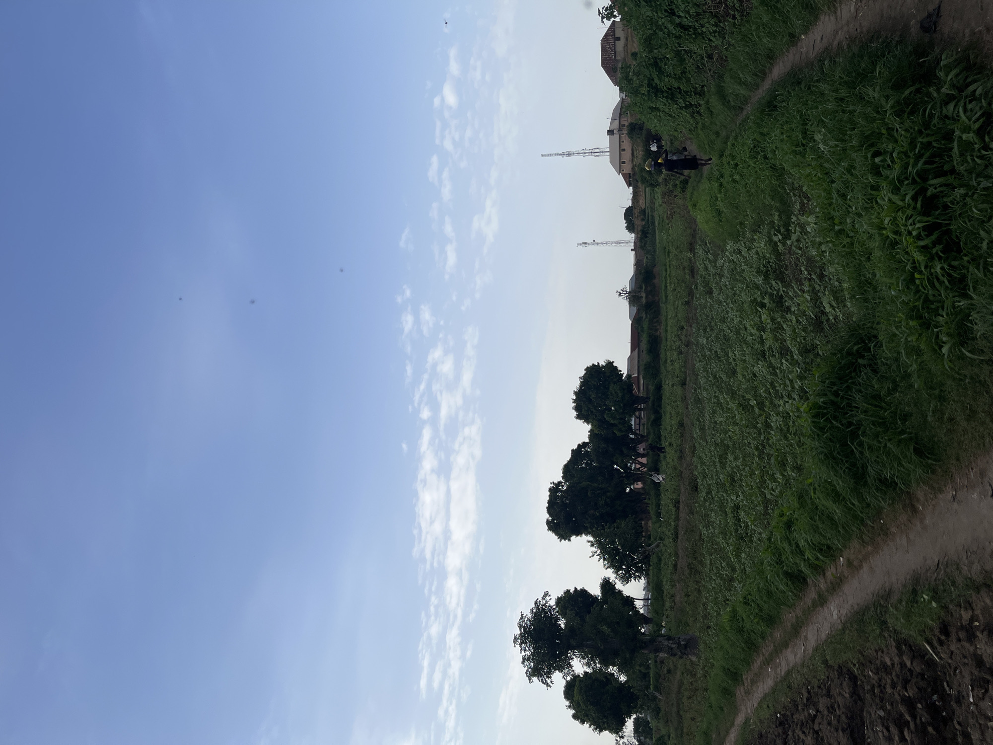 The image depicts a rural scene in Rafin Par, Nigeria, under a clear blue sky with scattered white clouds, suggesting it is daytime. The perspective is vertical, making it appear as if the viewer is looking up from ground level.
The foreground shows a dirt path winding through lush green vegetation, likely a field of crops or tall grass. To the left of the path, a row of trees with dense foliage stands silhouetted against the bright sky. In the background, beyond the vegetation, several buildings and communication towers are visible, indicating a settled area within the rural landscape.
On the path, two individuals are present. One is wearing a yellow head covering and appears to be carrying something, while another person in dark clothing stands nearby. Their presence suggests everyday activity or work in the area. The overall mood is peaceful and natural, with the vibrant green of the landscape contrasting with the expansive blue sky. The presence of communication towers hints at modernization within the otherwise traditional setting. No text is visible in the image.