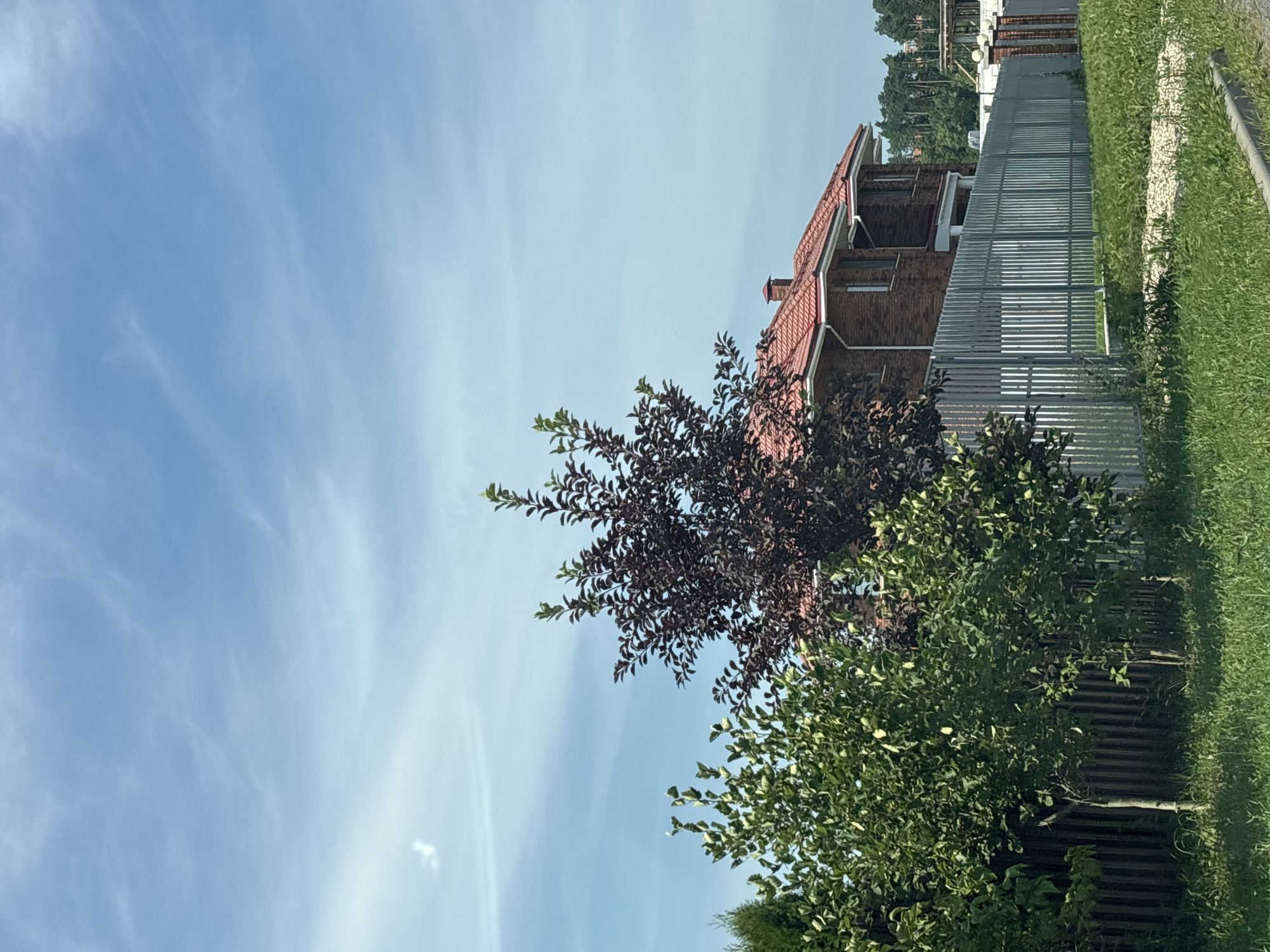 The image depicts a residential property in Zvenigorod, Russia, on a clear day. A two-story brick house with a red tiled roof is visible, partially obscured by trees. The house has multiple windows and a chimney. A tall, grey metal fence runs along the front of the property. In the foreground, lush green grass and a few trees are present. The sky is bright blue with scattered white clouds. The overall scene is tranquil and suggests a suburban or rural setting.