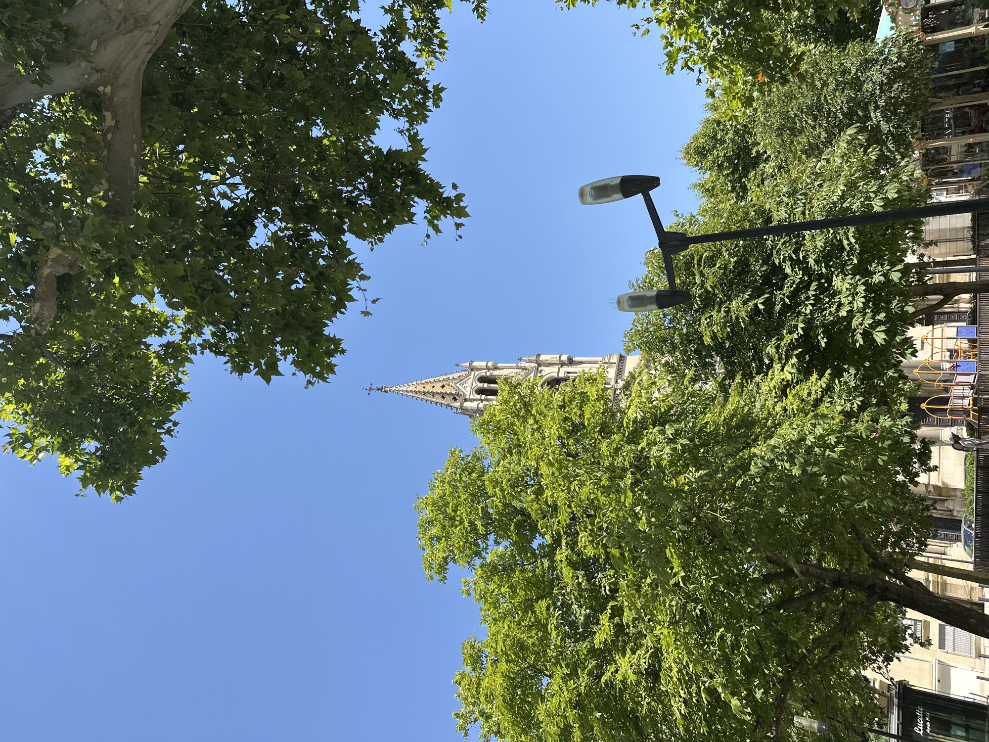 This image, taken from a low angle looking up, showcases a clear blue sky partially obscured by the lush green foliage of large trees. In the distance, the spired tower of a stone building, likely a church or cathedral, rises above the trees. A street lamp with two bulbs is visible in the mid-ground, its dark pole stark against the sky. To the right, beyond the trees, parts of buildings with windows and architectural details are visible, suggesting an urban setting. The sunlight filtering through the leaves indicates it is daytime, likely a sunny day given the clear sky. The scene evokes a sense of tranquility and a summer atmosphere. Some faint text is visible on a dark sign at the bottom right, appearing to read "Lucreti". The location is identified as Nîmes, France.