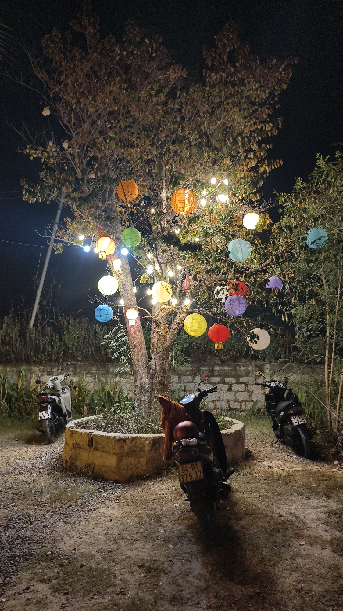 An outdoor scene at night features a large tree adorned with numerous colorful lanterns and string lights. Three motorcycles are parked around the tree. The ground is covered with gravel and dirt. In the background, a stone wall is visible.