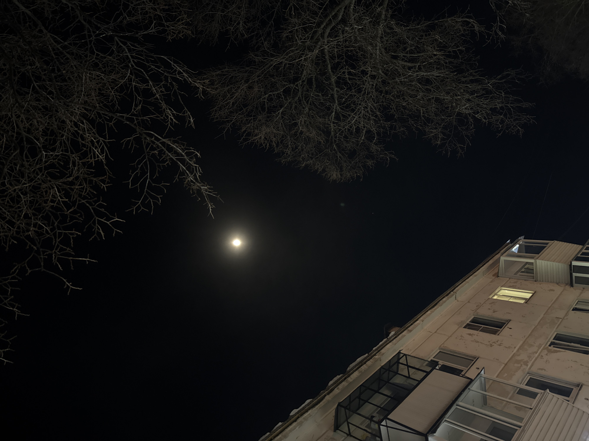 The image displays a nighttime scene in the city of Chaikovsky, Russia, capturing a residential building, bare trees, and a prominent moon in a dark sky. The left side of the frame is dominated by the upper floors of a light-colored, possibly beige, multi-story building exhibiting signs of wear, including peeling paint. Several windows are visible, one of which emits a warm, bright light. The building features multiple balconies, some enclosed with glass panels. To the right and across the top of the frame, the dark, intricate silhouettes of bare tree branches are visible against the night sky, indicating a lack of foliage. Centered in the upper portion of the dark sky is a bright, circular celestial body, consistent with a full or near-full moon, casting a soft glow. No individuals are visible, and no specific actions or interactions are depicted. The overall environment suggests an urban setting during cold weather or a late autumn/winter season.
