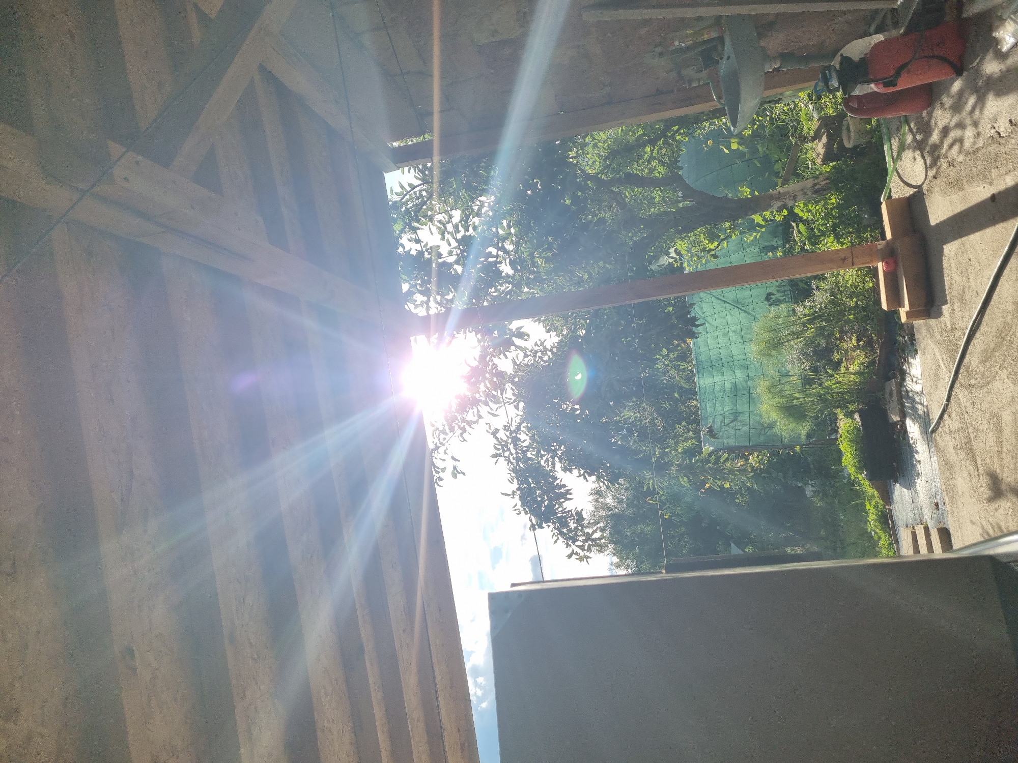 This image captures a sun-drenched scene under a wooden-beamed structure, likely an outdoor shelter or shed. The sun is intensely bright, causing lens flare and starburst effects, and shining through gaps in the roofing. Outside the shelter, a verdant garden is visible with lush trees and foliage, suggesting a rural or suburban setting. A green mesh fence is partially seen in the background. On the ground within the shelter, there are various objects including two red containers, possibly fuel cans or sprayers, and a sink mounted on a rough wall. A wooden post supports part of the structure, and a red ball rests at its base. The ground is concrete, with shadows cast by the sunlight and objects. The overall impression is one of an outdoor workspace or storage area, possibly in a yard or garden, bathed in bright sunlight. The location in Dabravka, Bulgaria, implies a setting within a town or village in the country, consistent with the rural aesthetic.