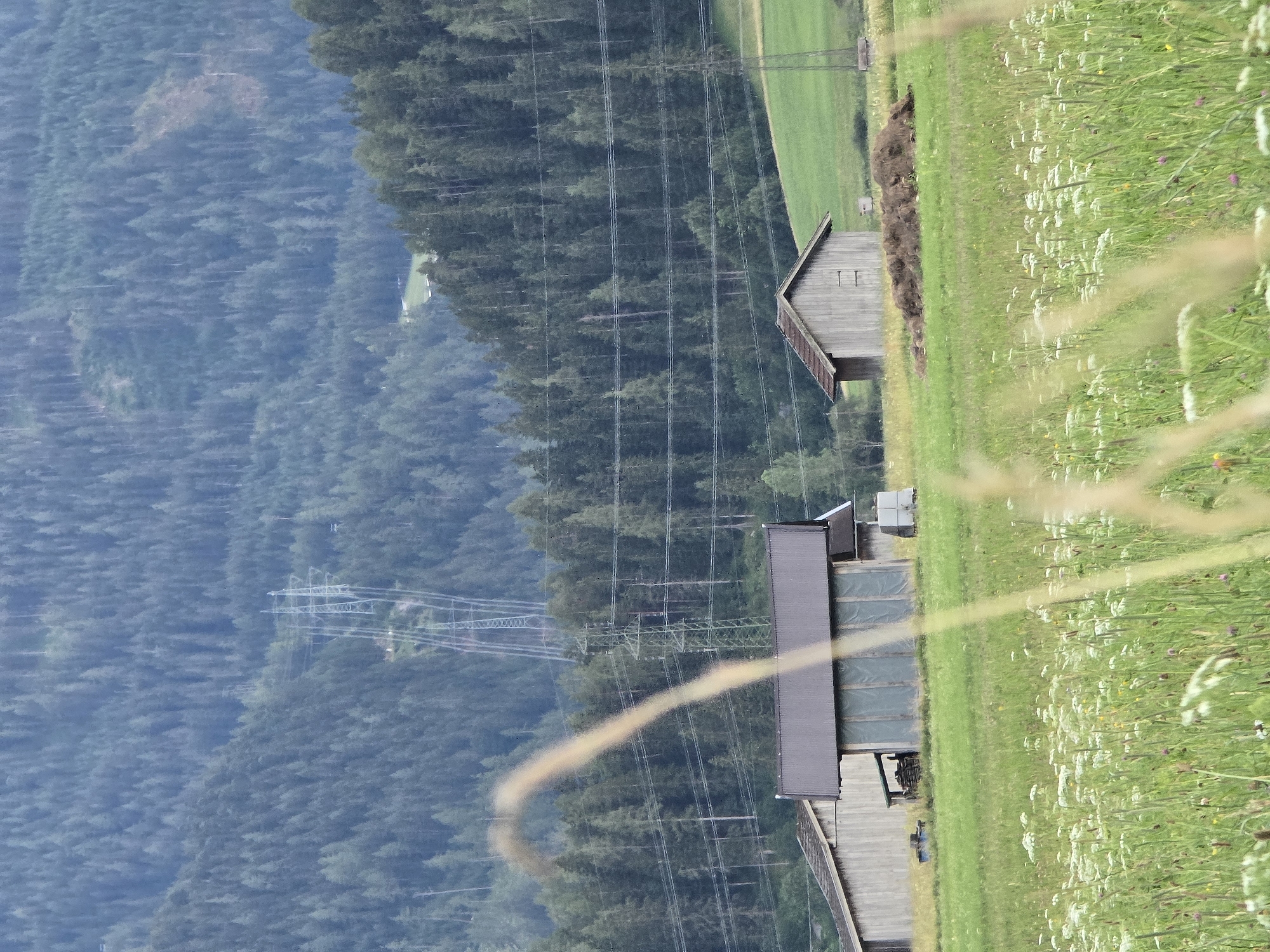 A medium shot captures a grassy field dotted with wildflowers in the foreground, with a pastoral scene featuring several structures and a wooded mountain range in the background. The wooden barn in the middle-ground, to the right, has a peaked roof and two small, square windows. To the left, a larger barn-like structure with a darker, sloping roof is visible, with a stack of firewood and a blue container next to it. A pile of hay or compost sits in front of the smaller barn. In the distance, a dense forest blankets a mountain slope, bisected by a visible power line infrastructure consisting of tall pylons and wires. The sky is overcast and the overall lighting is dim. The image appears to be taken in Lermoos, Austria, given the characteristic alpine landscape.