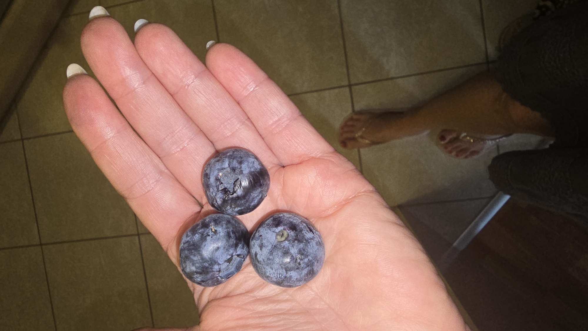 A close-up, eye-level shot features a person's open hand holding three large, dark blue berries, likely blueberries or plums. The hand, positioned in the foreground and filling a significant portion of the frame, has manicured fingernails with white tips. The skin of the hand shows visible lines and some shininess, possibly from moisture.
The three berries are centrally placed in the palm, appearing plump and round, with a natural dusty bloom on their surface. Their dark blue-purple hue contrasts with the lighter skin tone of the hand.
In the blurred background, a tiled floor with light-colored grout lines is visible. To the right, part of a person's leg and foot can be seen. The foot, wearing a light-colored sandal or flip-flop, has red painted toenails. A dark, indistinct object, possibly furniture or clothing, is also partially visible on the right, suggesting an indoor setting. The lighting appears to be artificial and somewhat dim, casting subtle shadows. No text is visible in the image.