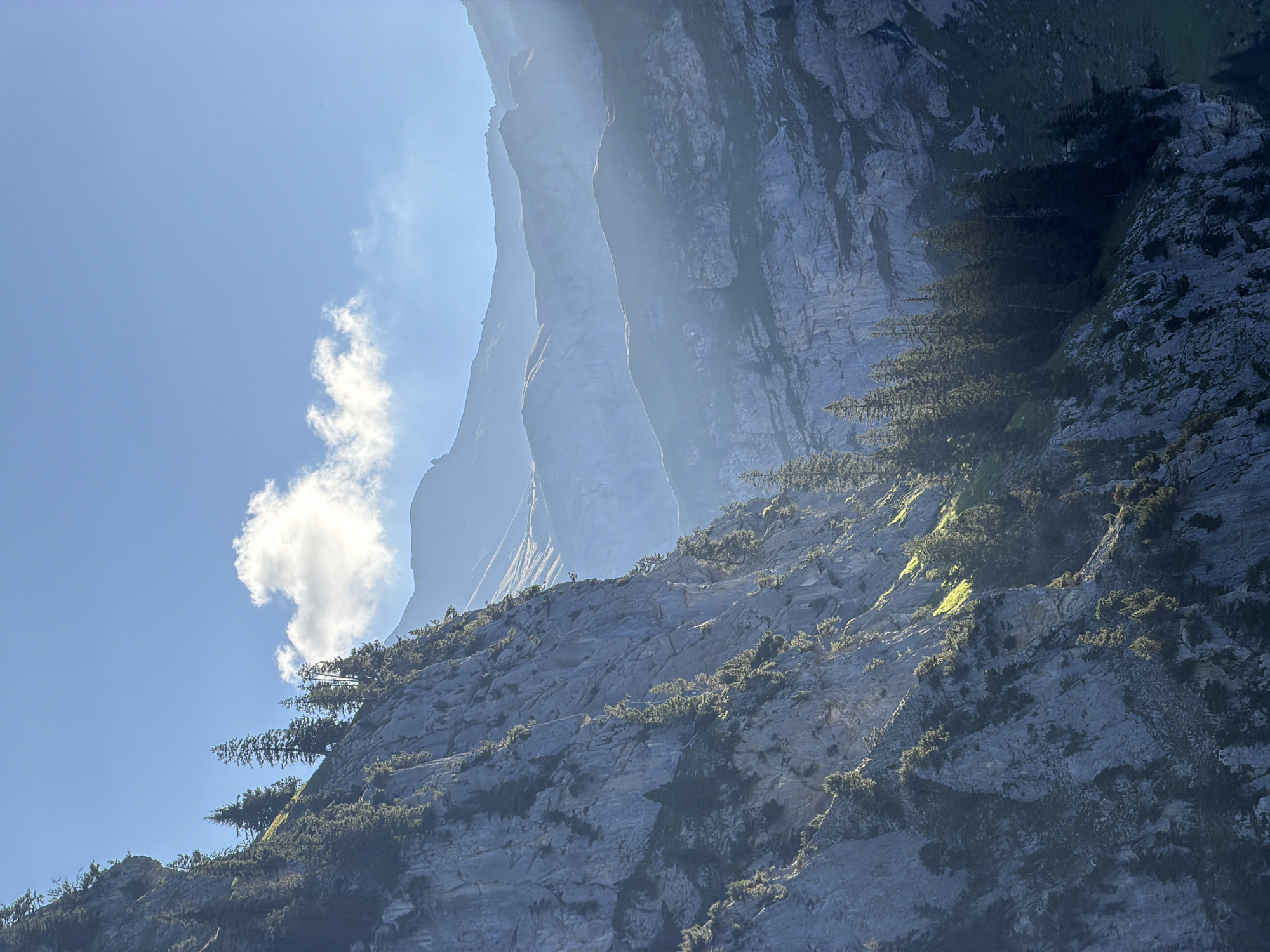 The image shows a steep, rocky cliff face in a mountainous region, likely in the Swiss Alps. The cliff is covered with sparse evergreen trees that cling to its surface. Sunlight illuminates parts of the cliff, casting shadows and highlighting the rugged texture of the rock. In the background, several layers of mountains recede into the distance, shrouded in a light haze. The sky is a clear blue with a few scattered white clouds. The scene evokes a sense of natural grandeur and remoteness. While the image is taken in a mountainous region, the specific location within Kandersteg, Switzerland, cannot be definitively identified from the visual information alone. No people or specific actions are depicted in the image.
