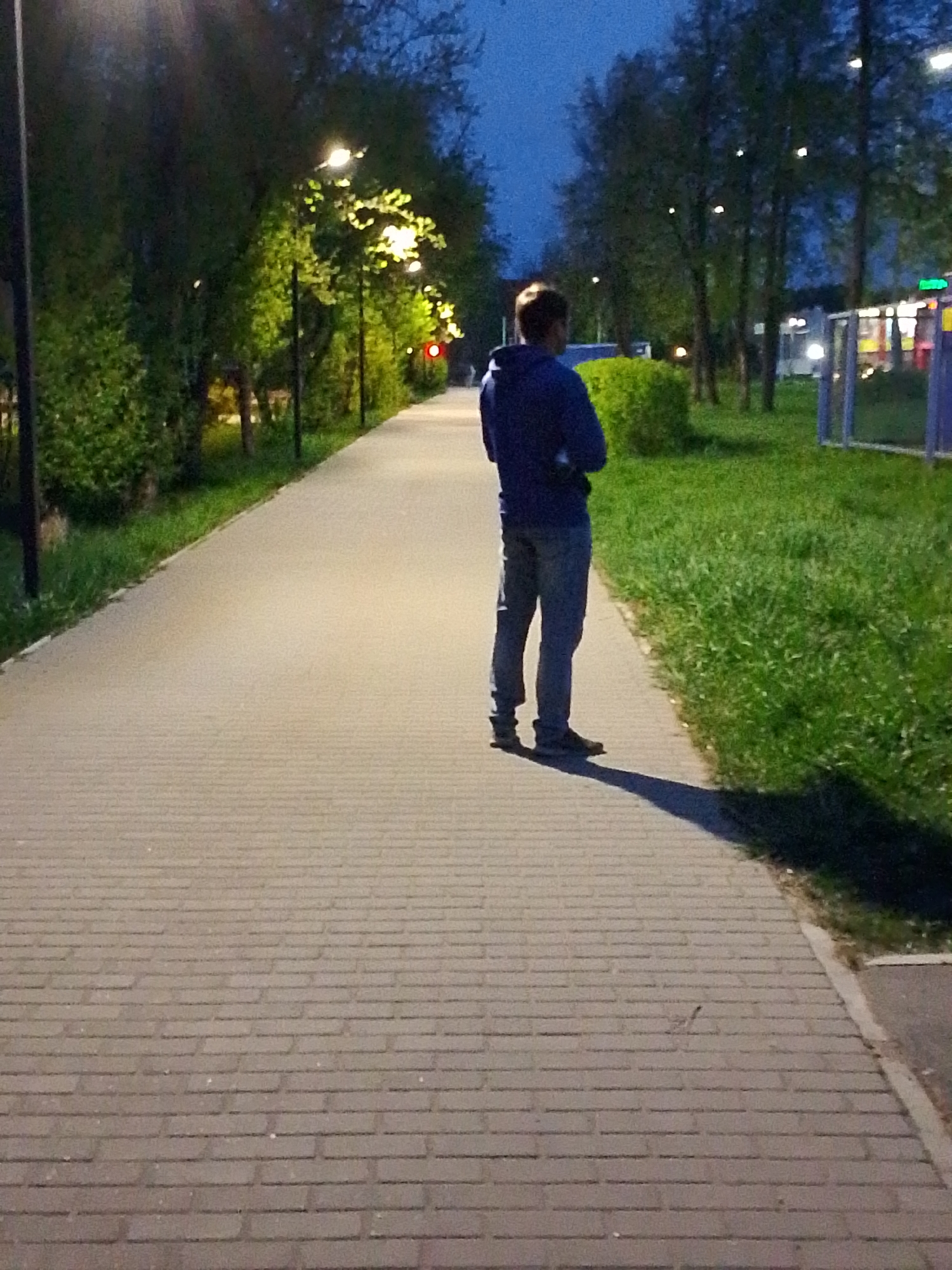 A full-length shot captures a man in a blue hoodie and jeans, standing on a brick-paved walkway, facing away from the camera. The walkway extends into the distance, lined with trees and shrubbery on both sides. Street lamps illuminate the path. To the right of the walkway is a grassy area and a structure with a sign in the background. The image was taken in the city of Chaikovsky, Russia.