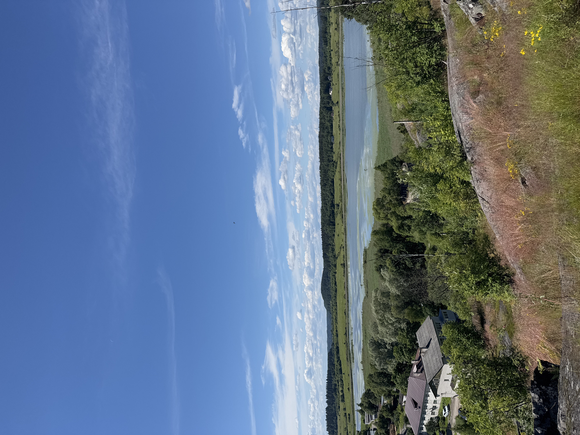 A scenic, high-angle landscape view shows a bright blue sky with scattered white clouds. In the foreground, a rocky outcrop is covered in dry, reddish-brown grass and small yellow wildflowers. Below this, a cluster of green trees and bushes partially obscures a small village. The village features several low-rise buildings with tiled roofs, some appearing to be residential or administrative structures, and a white car parked on a street. Further into the middle ground, a wide expanse of water, likely a lake or bay, is visible, bordered by dense green forests and reeds. In the distance, rolling hills covered in dark green conifer forests create a natural horizon line. The overall scene depicts a serene, rural environment under a clear sky.