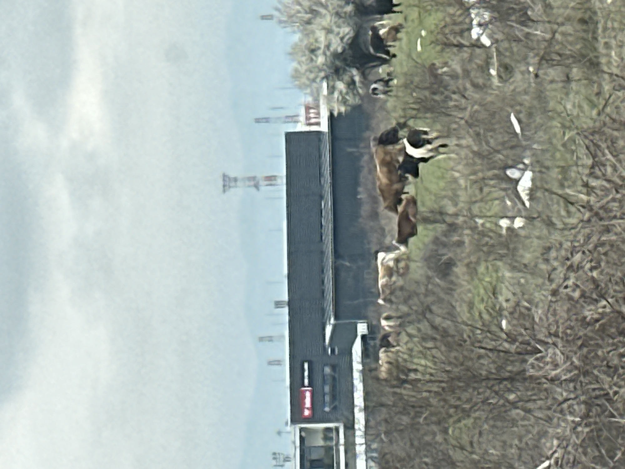 The image depicts a scene with a mix of urban and rural elements. A long, dark-colored building with a visible sign is present, possibly a commercial or industrial structure. To the right of the building, a field with grazing cattle is visible, interspersed with trees and vegetation. In the background, structures resembling industrial towers are present. The sky is overcast. The image appears to be taken in an area where urban development meets rural landscapes.
While pinpointing the exact location in Sofia without additional context or visual cues is challenging, the combination of industrial structures, grazing animals, and a long building suggests a location on the outskirts of the city, possibly near industrial zones or agricultural land.