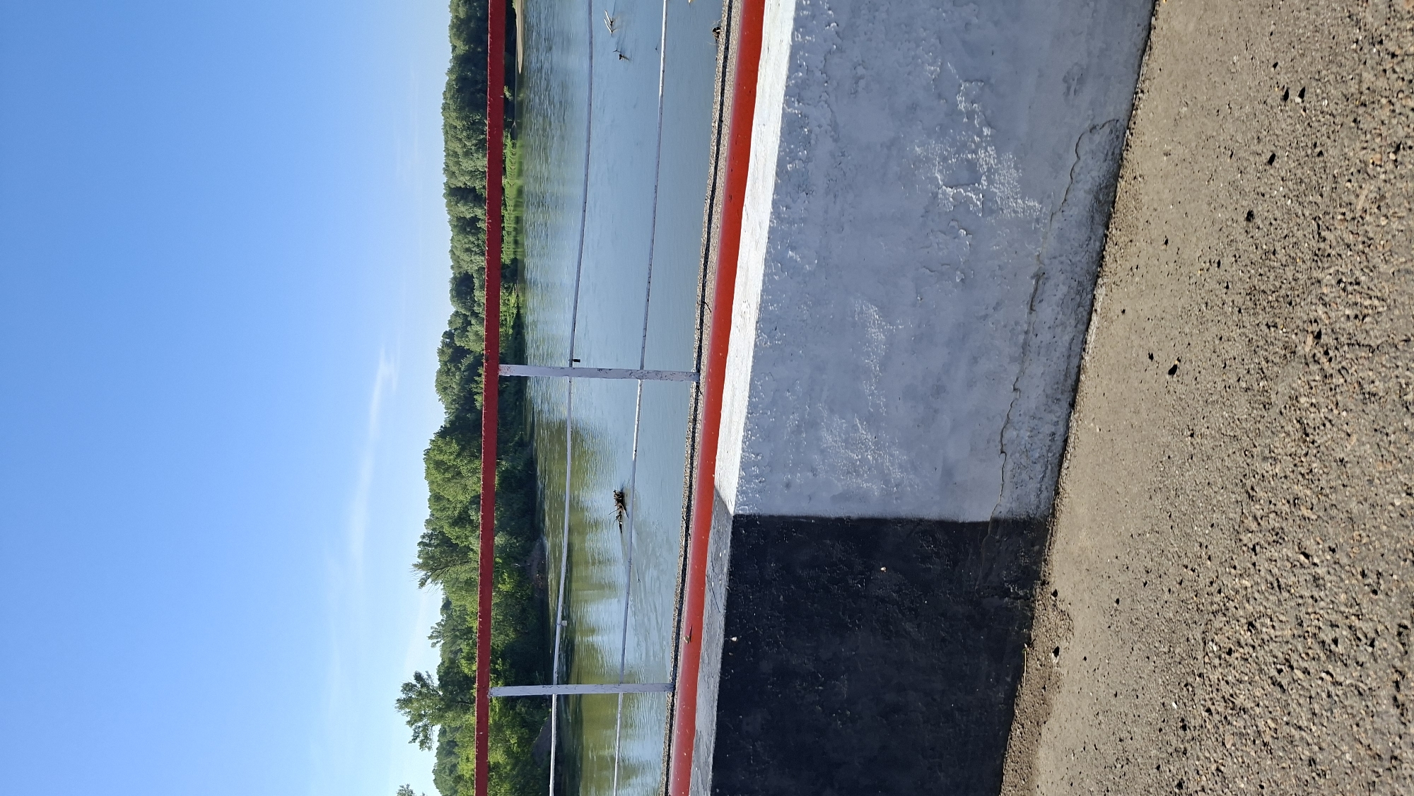 An eye-level, close-up, vertical shot captures a serene riverside view from a bridge on a clear, sunny day. The foreground is dominated by the bridge's barrier, a two-toned structure with a black and white painted section, topped with a red railing. Beyond this barrier, a wide, calm river flows, its surface reflecting the bright blue sky. The river is lined by a dense, green forest that stretches across the horizon, creating a picturesque backdrop. A few pieces of debris, possibly branches or logs, float near the river's surface. The scene appears tranquil and untouched by human activity, with no people or vehicles present.