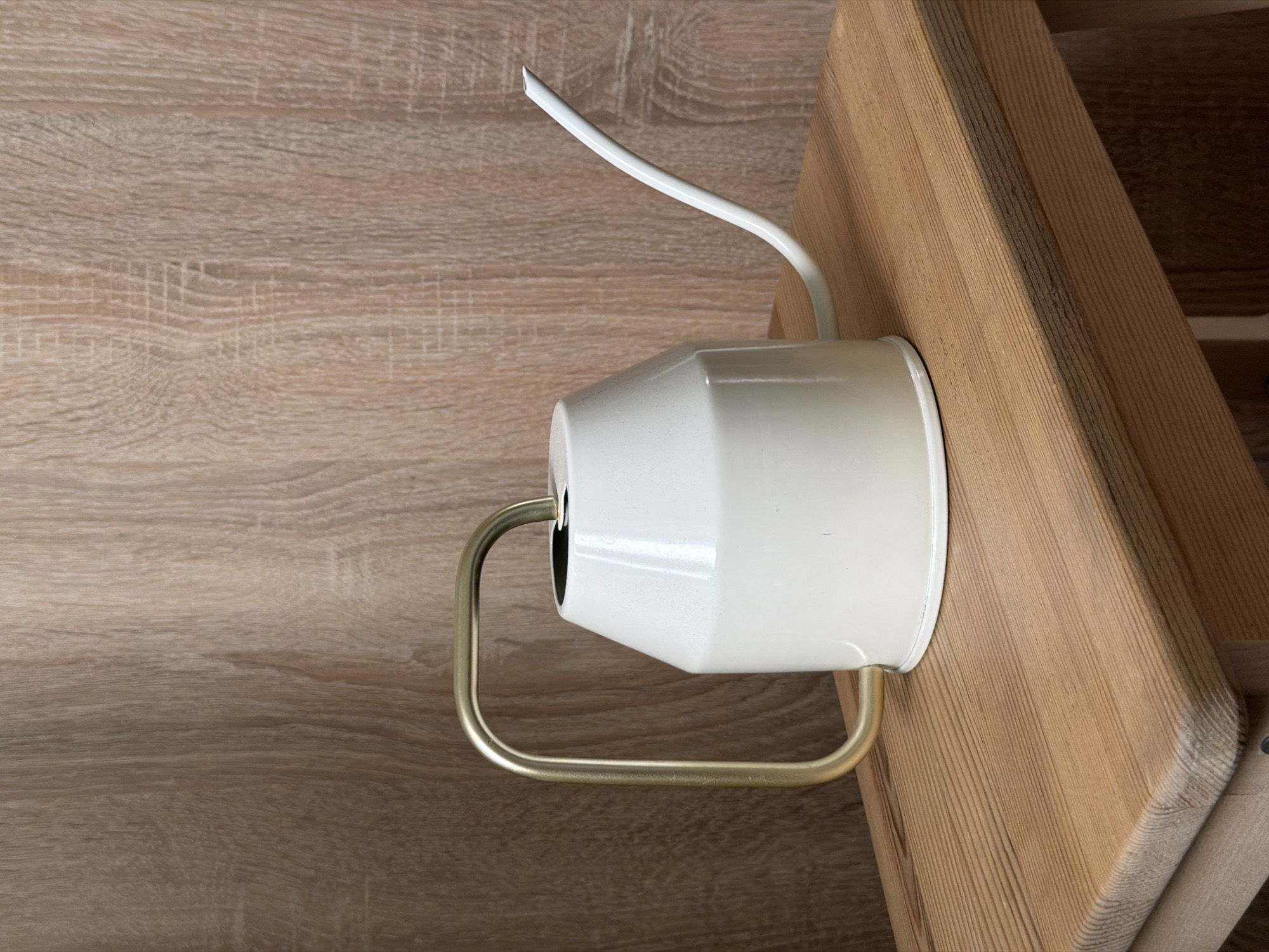 A white watering can with a brass handle rests on a light brown wooden surface. The watering can has a conical body and a long, slender spout. The background is a textured wood-paneled wall in a light brown color. The scene appears to be indoors, possibly in a home or studio setting, with no indication of the specific location within Фролы, Russia. No people or animals are present in the image.