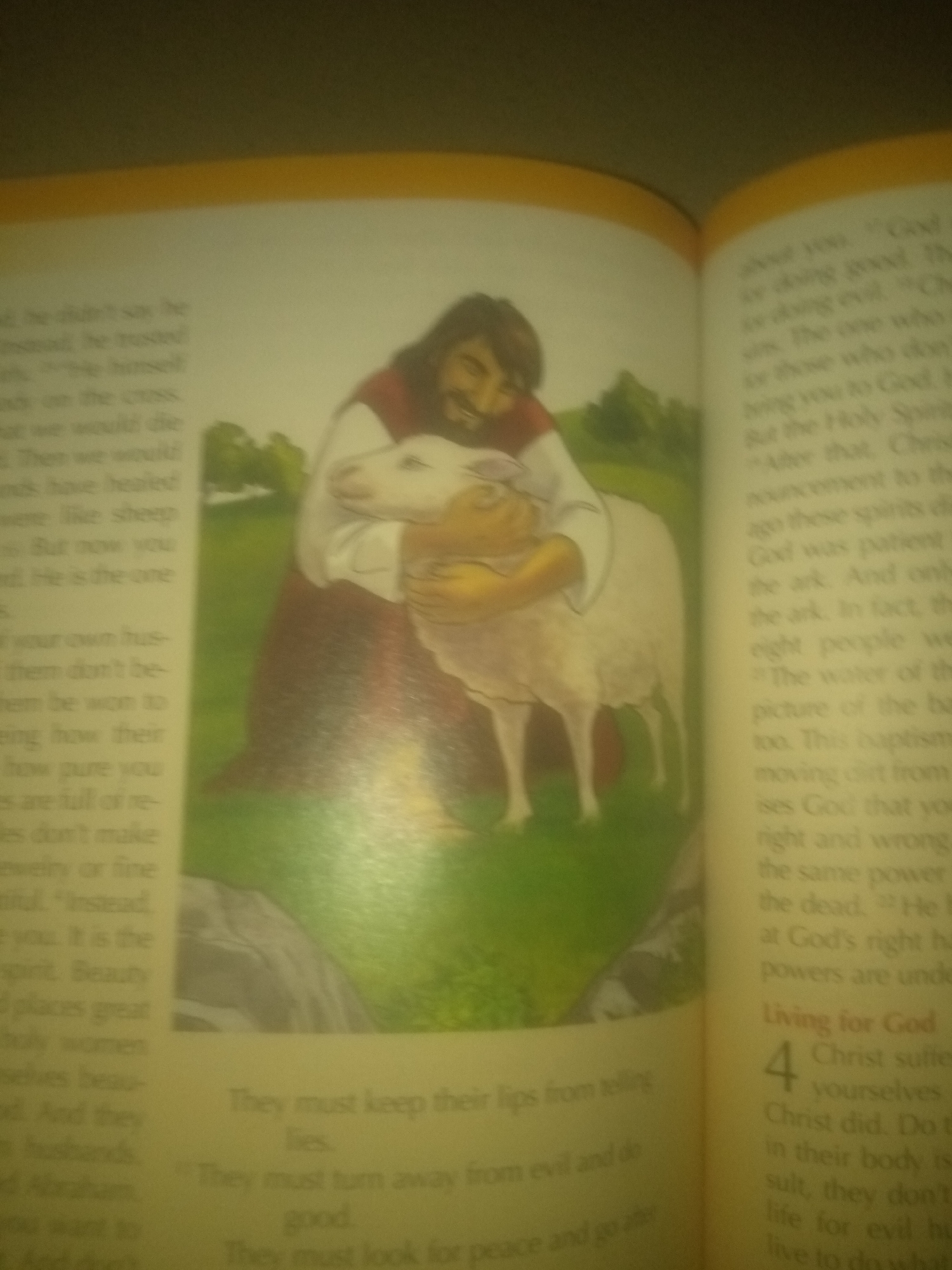 The image shows an open book with text and an illustration. The illustration depicts Jesus, dressed in a red robe and white garment, embracing a white sheep in a grassy, outdoor setting with trees in the background. The text on the left page is partially visible and appears to be from a religious text. The text on the right page is also visible, with a heading "Living for God" and a numbered point "4".
There is no information in the image that indicates the location in the city of Jauro Yinu, Nigeria.